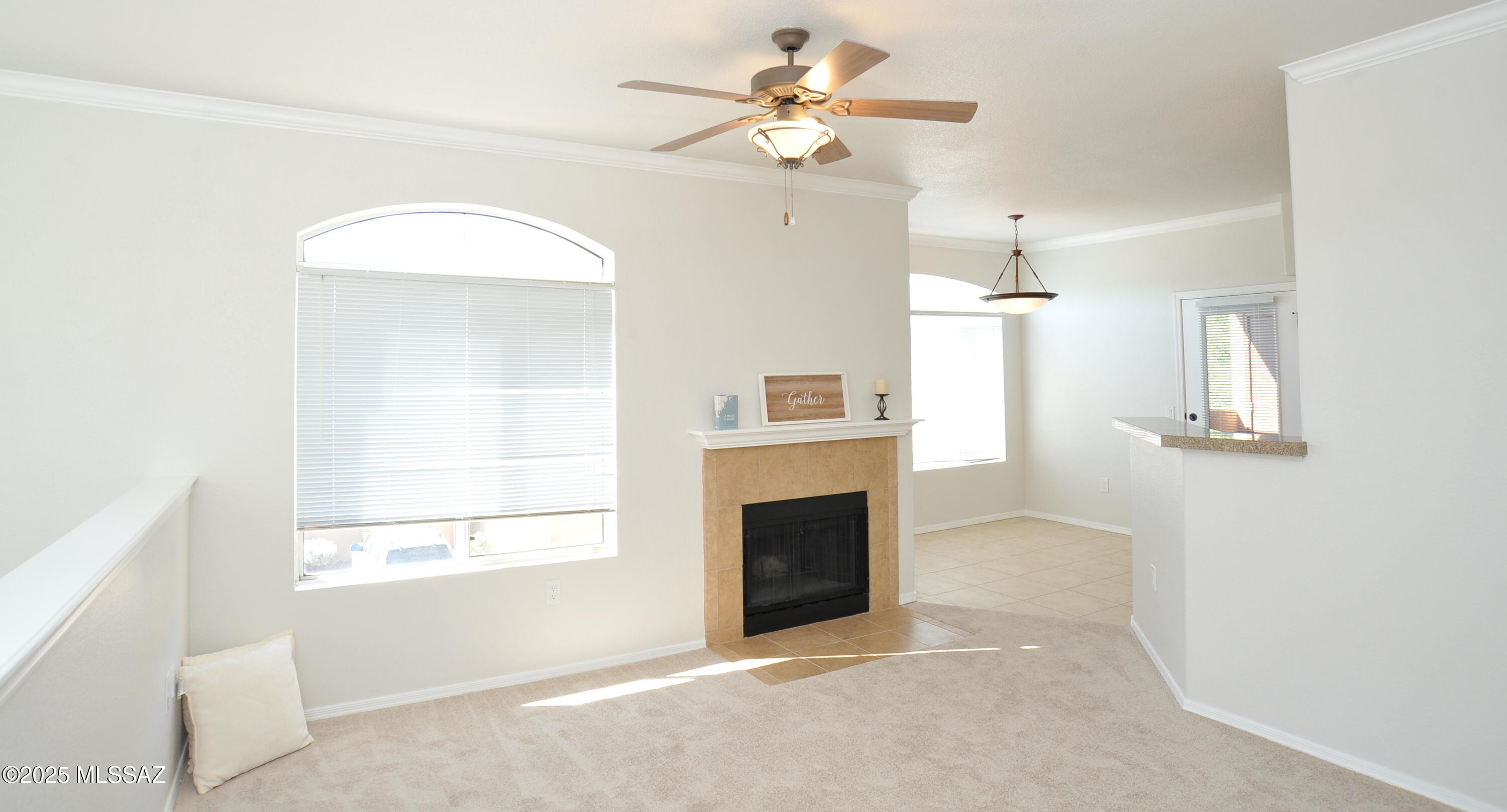 Pinnacle Canyon Condominium - Residential