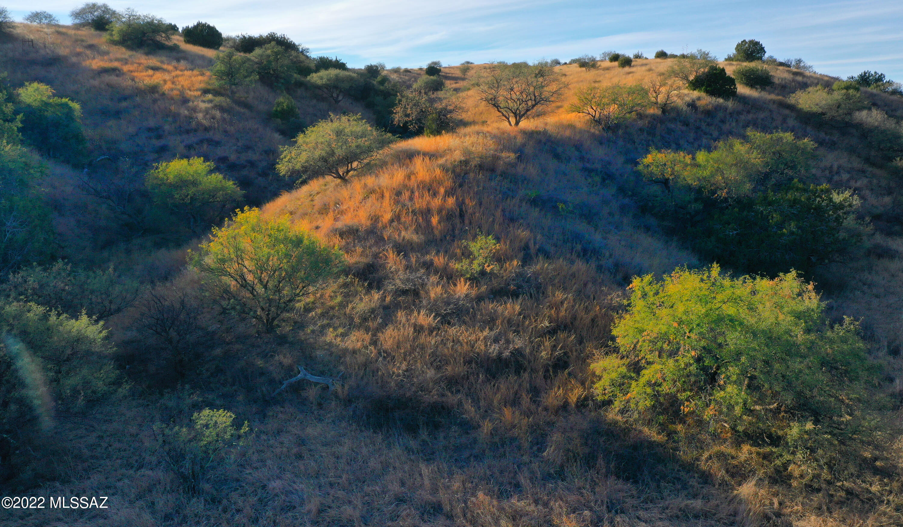 Lazy RR Ranch Estates - Land