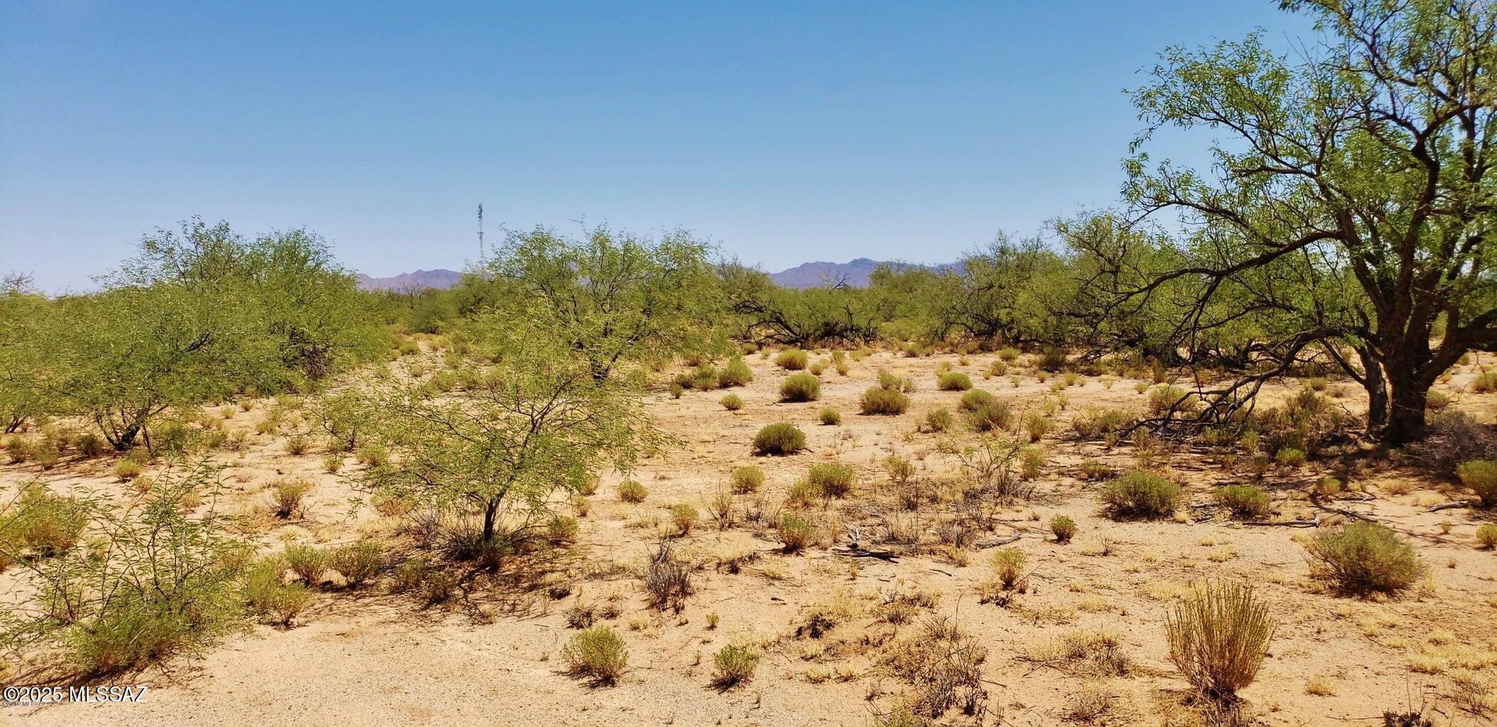 41 level acres in the floodplain, but only 1 foot of flood depth means your house is built up 2 feet above highest nearby grade. Electric & Telephone lines located along the west property line. Sandy loam soil is great for raising horses. Panoramic views abound! Very quiet out here. No HOA, CC&Rs or DEED RESTRICTIONS.