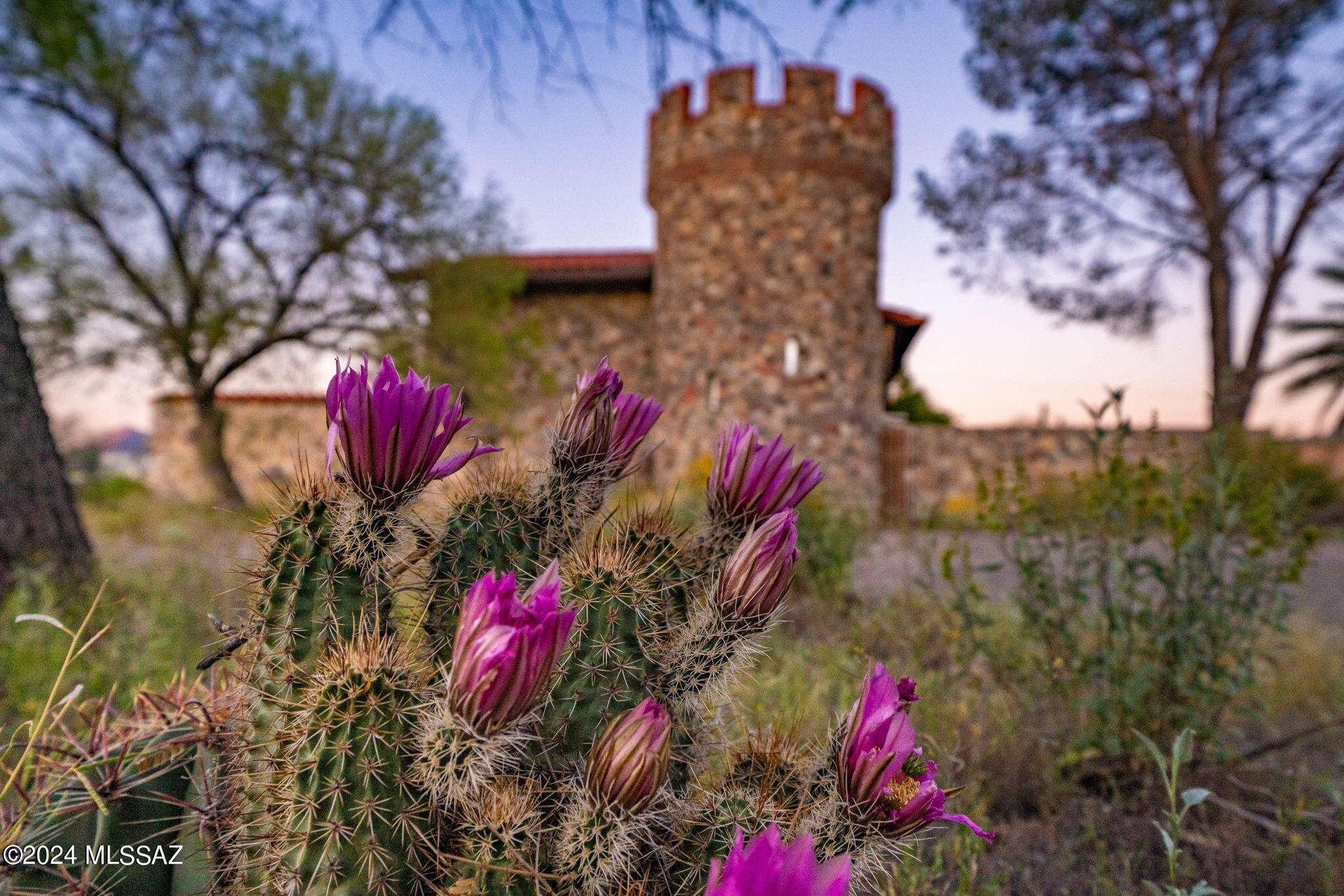 Owner/Agent. HISTORIC ACERAGE: Guest House was the One Room School House and the rest of the land was the water Company for the NW part of Tucson. VIEW LOT plus the buildings are located at back of the 4.5 Acres. Castle was built by Engineer ''owners''. There is a newer Septic System (approx. 10 years old) and can handle additional bathrooms on the property. With  updating this house could easily be a multi-million dollar property. Last owner of property lived in the GH as her main house for many years since it is a one story building and the Castle is 2 stories. 5-10 minutes to I10 Freeway and major grocery stores. the Mercado and Downtown Tucson.
