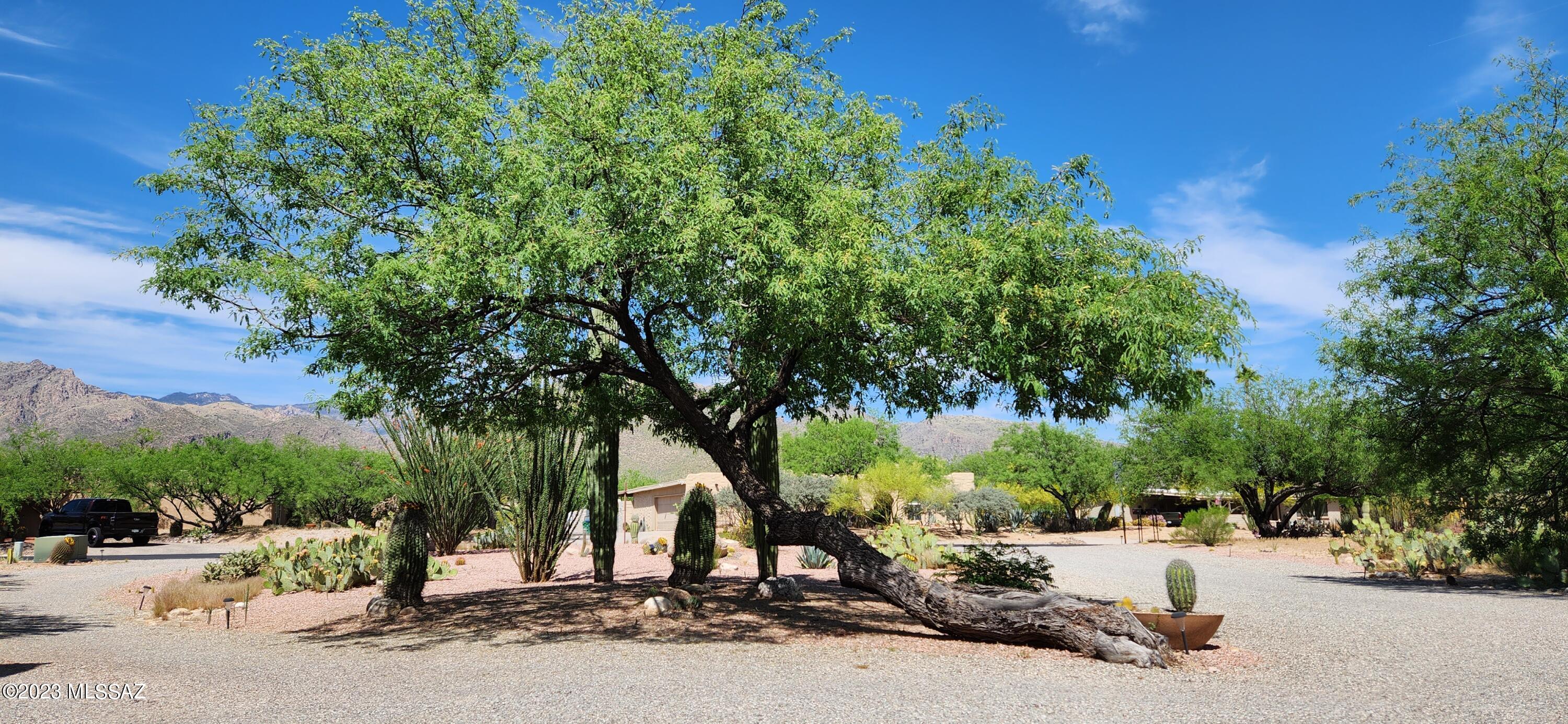 Sabino Town And Country Estates (1-77) - Residential