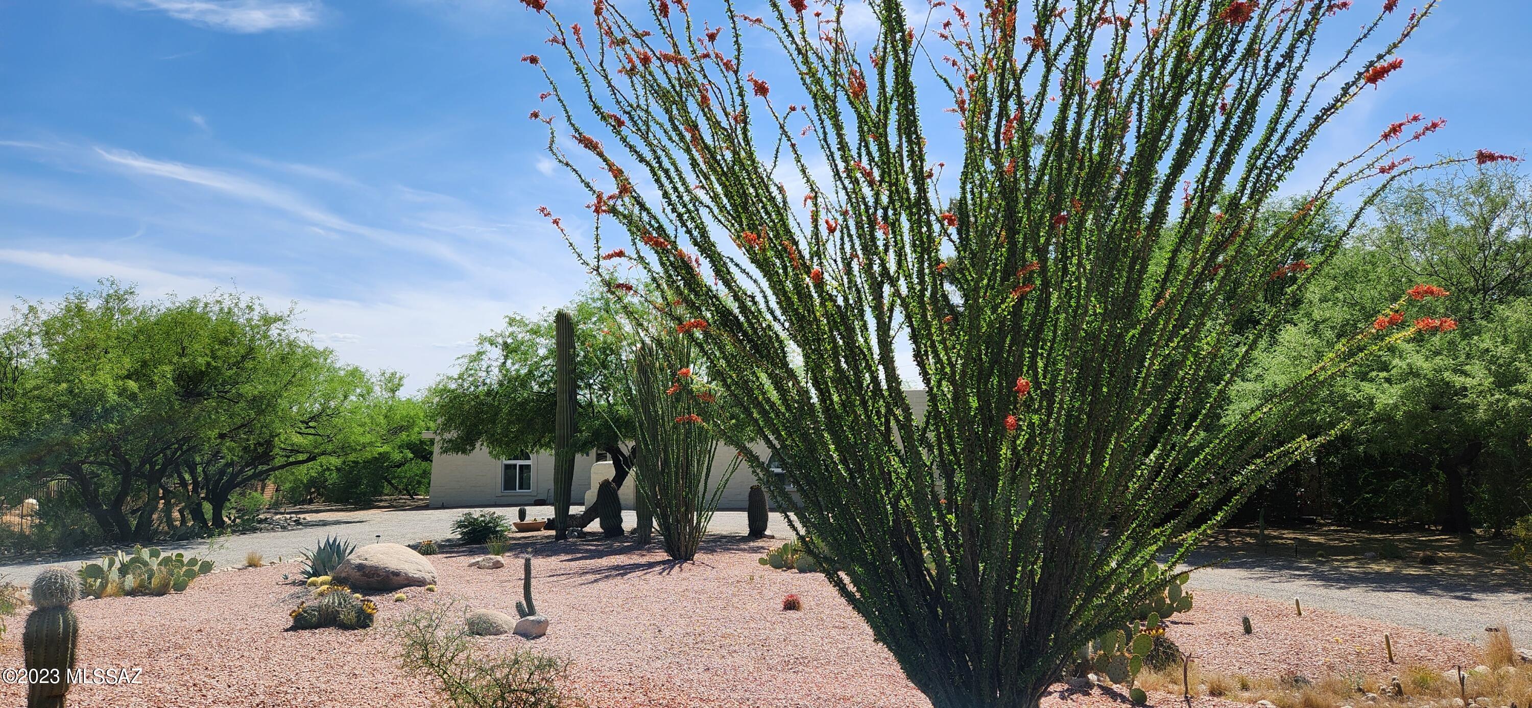 Sabino Town And Country Estates (1-77) - Residential
