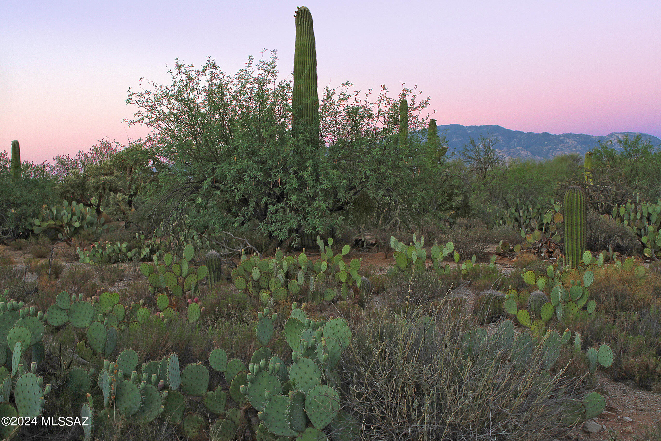 Very unique opportunity to own estate size parcel in the heart of Oro Valley. Enjoy Catalina mountain views with very easy to build flat lot. This lot is part of Sunset Canyon Estates, a small enclave of custom homes. Design your own custom home with our builder or choose from one of our floorplans. Utilities at lot line. Call to learn more about this lot and opportunities for a custom home.