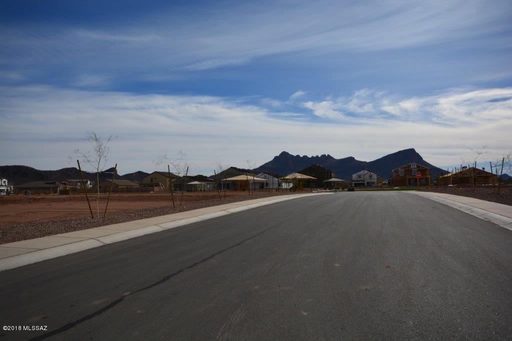 Saguaro Springs Block 4 (400-611) - Residential
