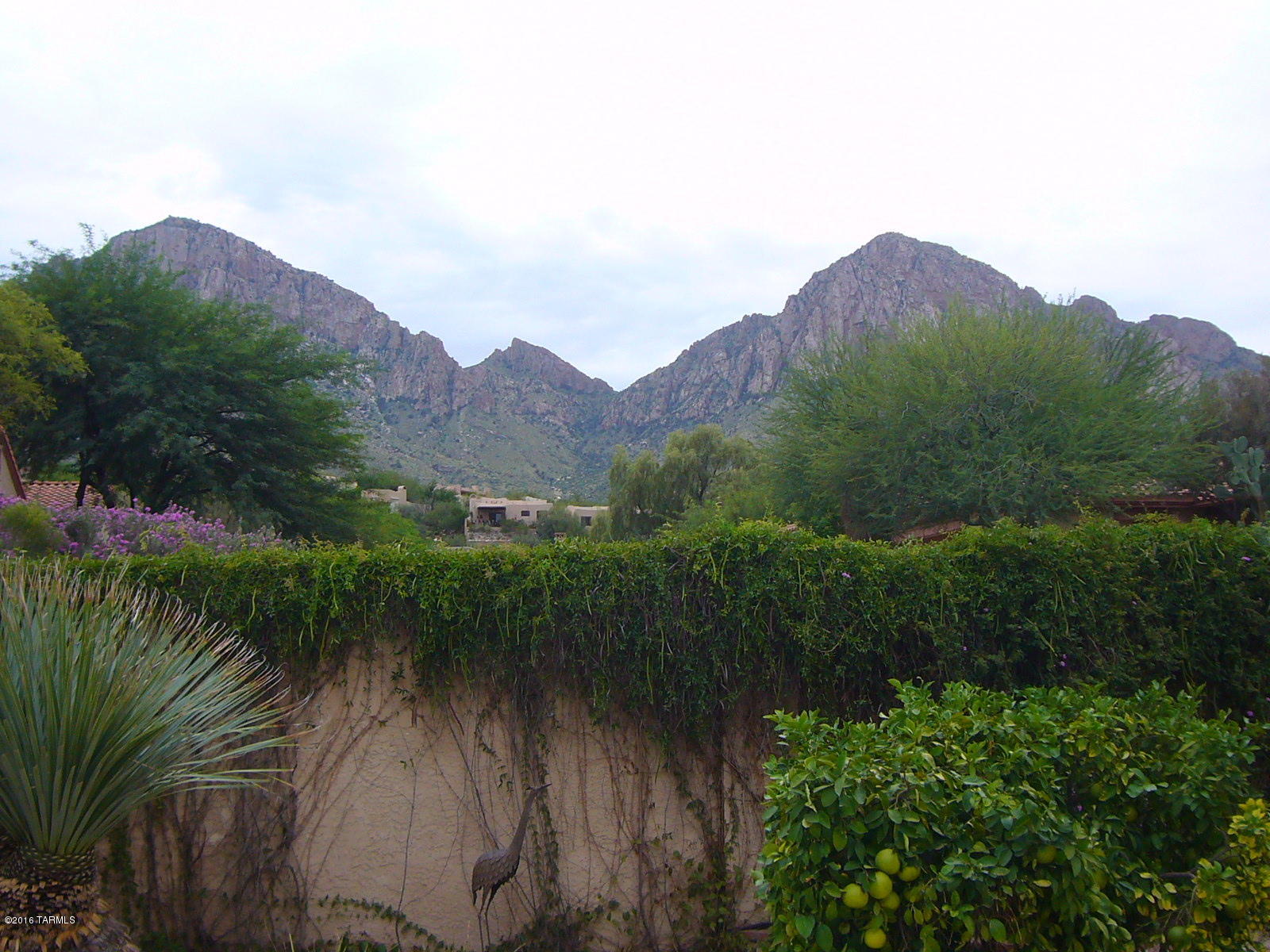 Desert Mirage At La Reserve (1-50) - Residential Lease