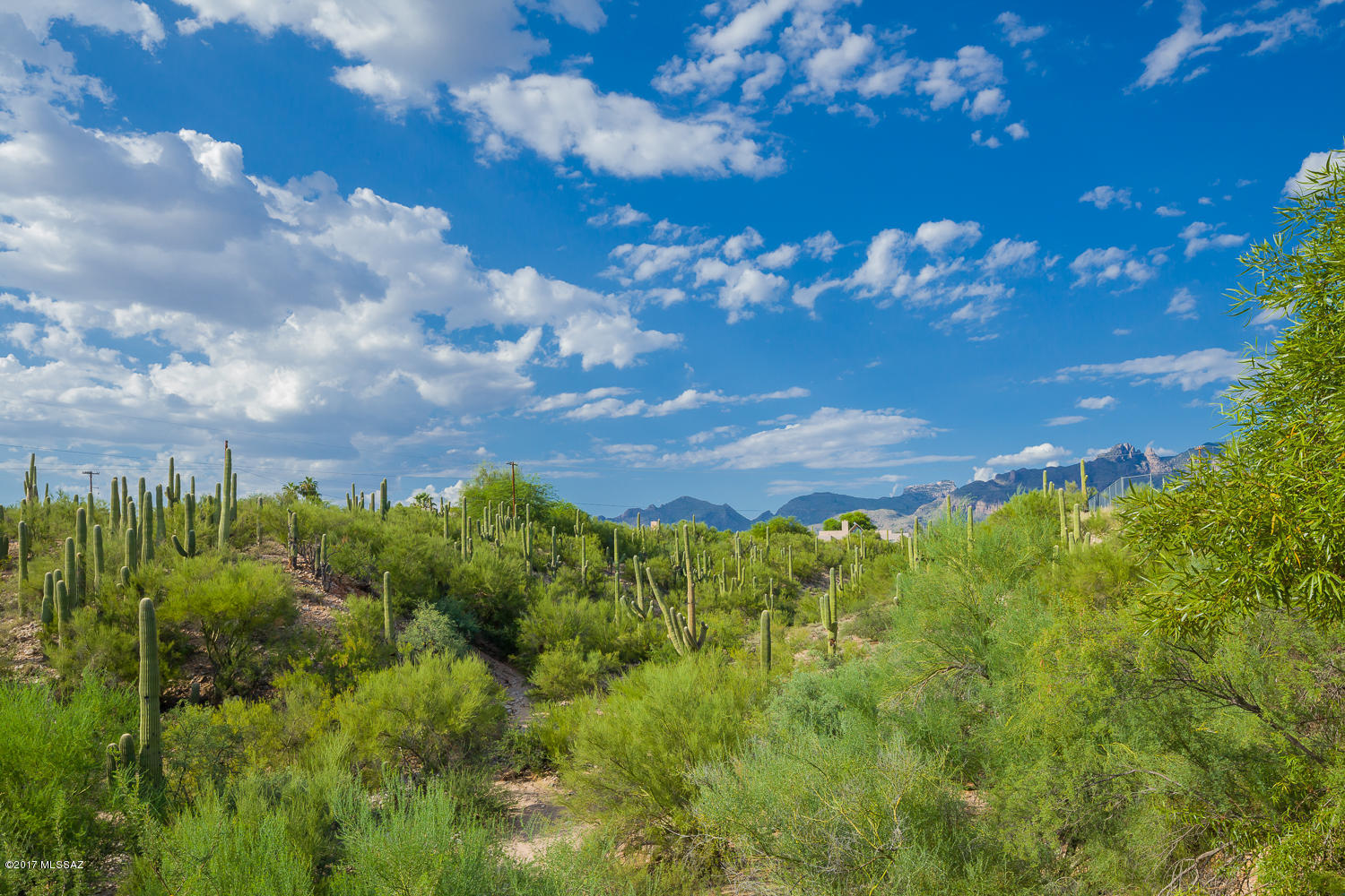 Foothills Ridge Amd - Residential