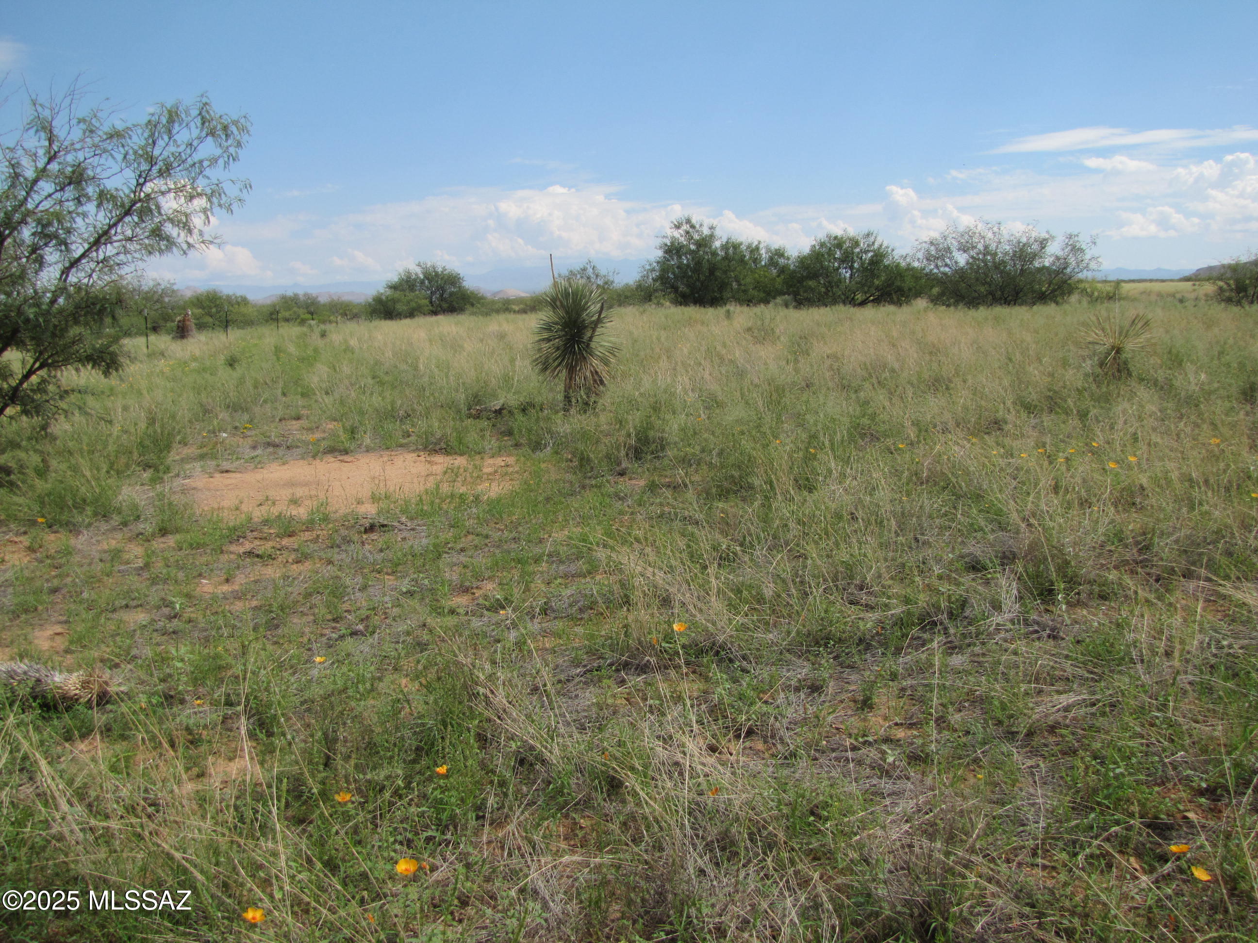 Two contiguous residential lots totaling approx 1.64ac with unimpeded views of Cochise Stronghold and the Dragoon Mountains, with views of other mountains across the valley. Located on the corner of March St and County maintained Willcox Rd, a little more than 3 miles outside the village of Sunsites. Electric across Willcox Rd. Fence along Willcox with no gate at March St; buyer(s) will need to create physical access to the property. Come see what rural living has to offer! Sale includes parcels 115-07-235 and 115-07-236; taxes shown are for both parcels.