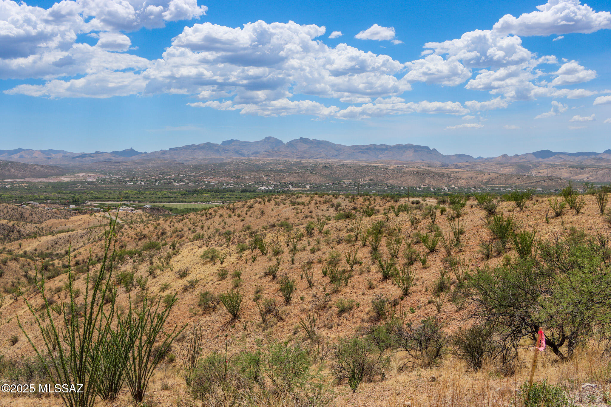 Rio Rico Ranchettes 3 - Land
