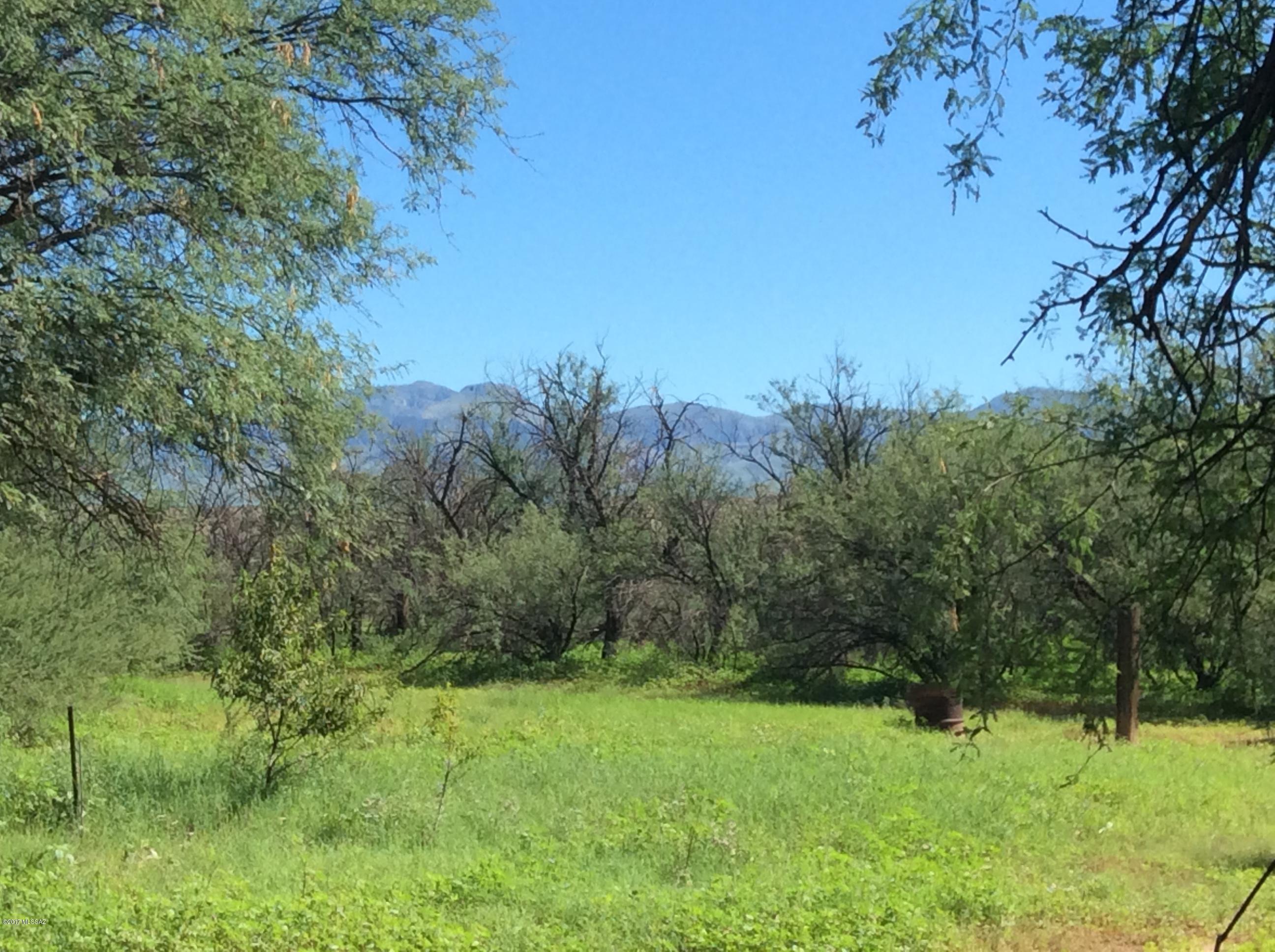 Incredible 10 acres with lush mature mesquite trees bordering the San Pedro River. Fully developed with septic and electric. Perfect for a new build or tiny home. Very private and secluded yet on a paved road and just minutes from San Manuel and within an hour of Tucson.Abundant well water feeds a small pond stocked with minnows and bass.Well has solar pump with 300-galloon storage tank with electrical backup. 5 ac of mesquite trees fenced with river access. Snowbirds, plenty of space for your RV! existing 40x11 construction trailer full length covered porch great for for storage. Property also includes a 2-br 1 bath travel trailer. Fenced garden area and fenced chicken yard with portable coop, plus two storage sheds