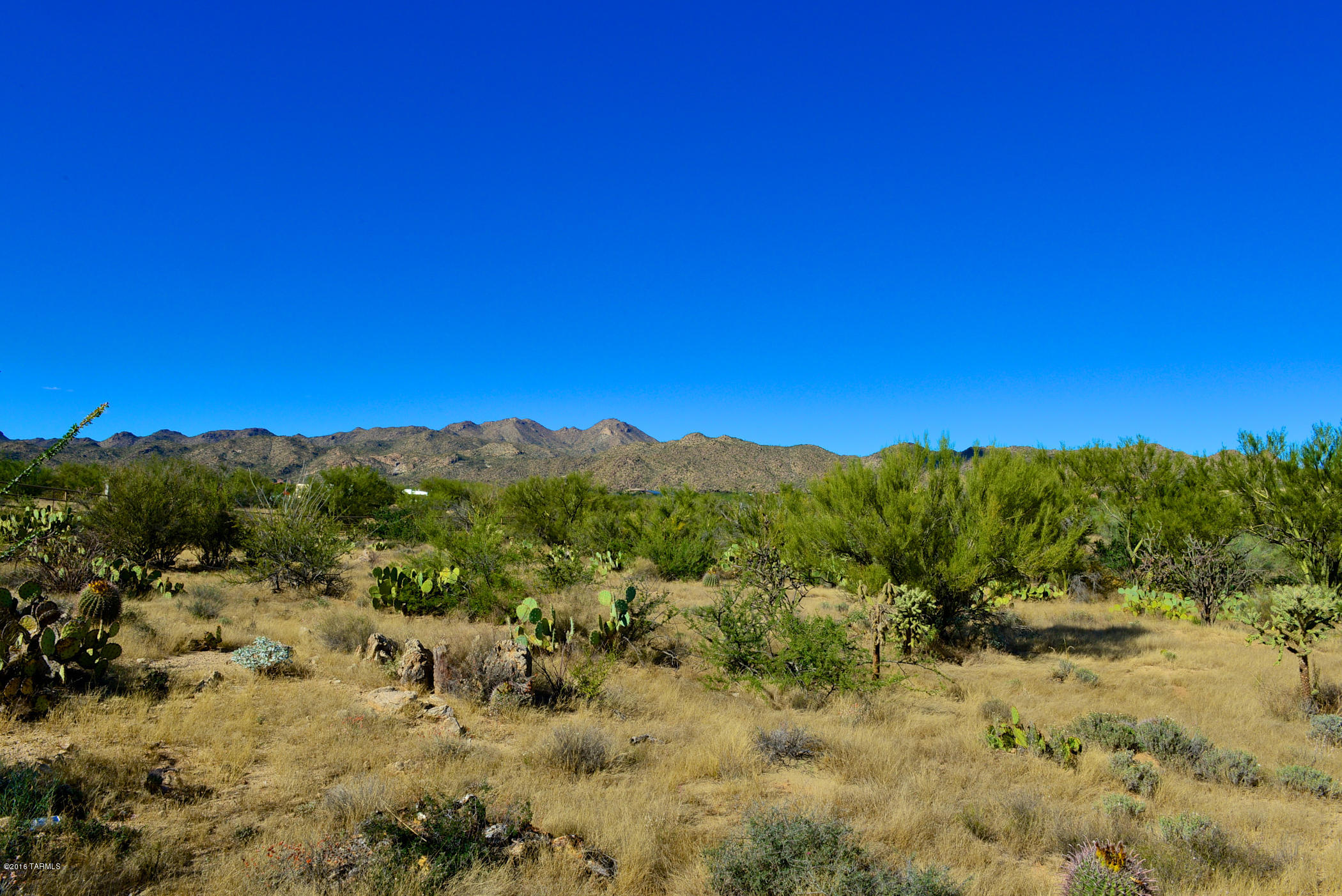 Stone Canyon I - Land