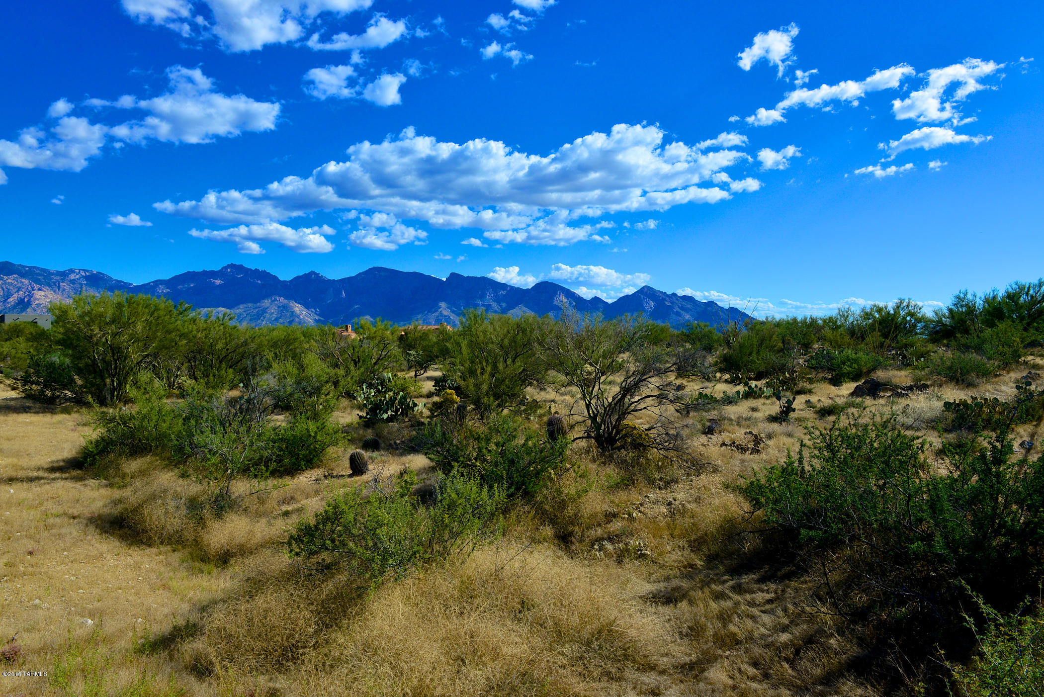 Stone Canyon I - Land