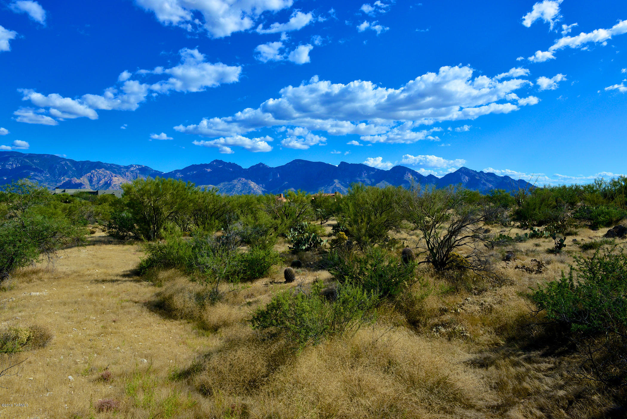 360 degree Views!!! Marvelous 1.5 Acre elevated custom home site in guard-gated Stone Canyon at upper end of cul-de-sac location offering mountain and desert views. Private, secluded location suitable for any building style and orientation (sunrise or sunset view?). Build when ready. Enjoy perfect AZ resort lifestyle in this fabulous community.