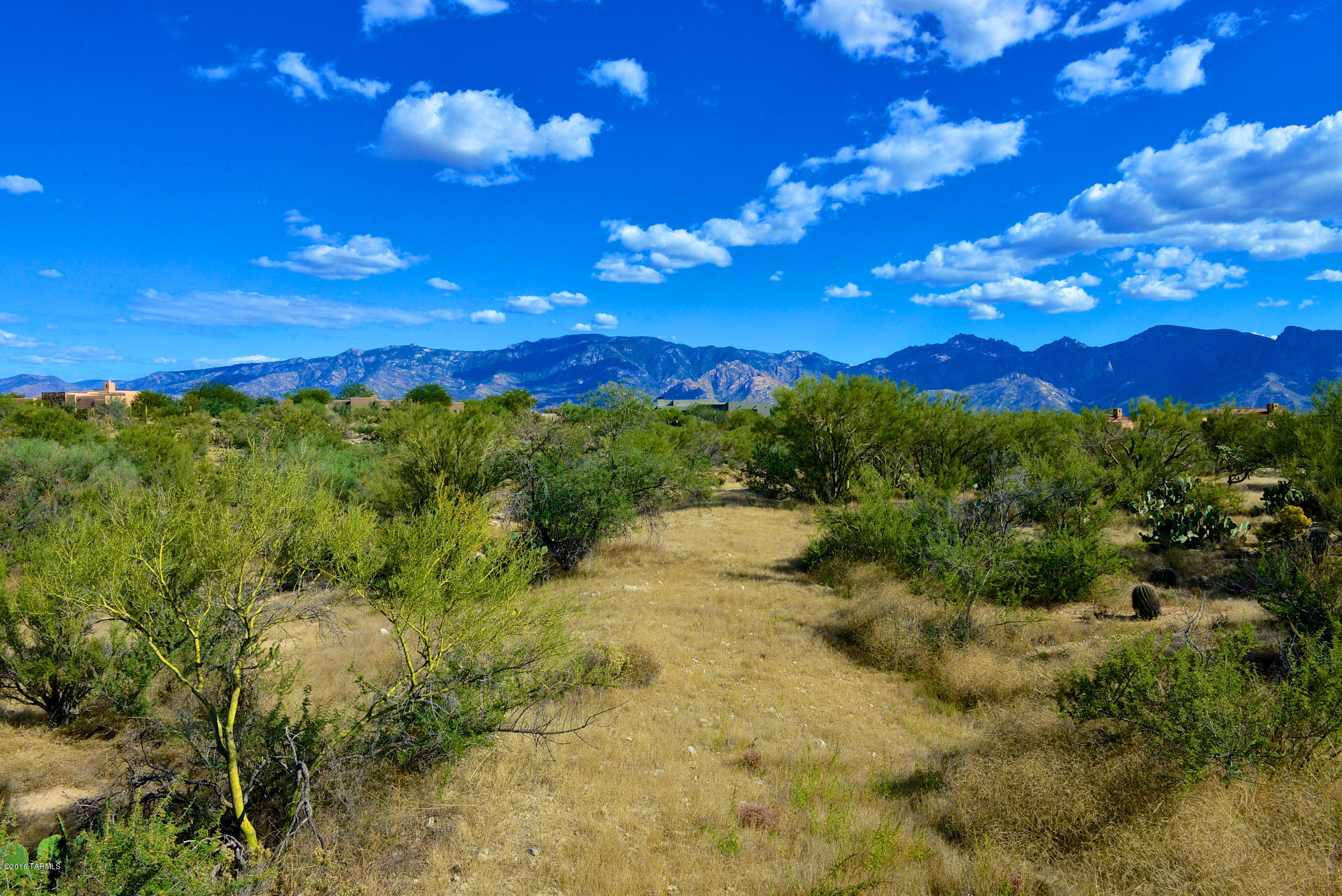 Stone Canyon I - Land