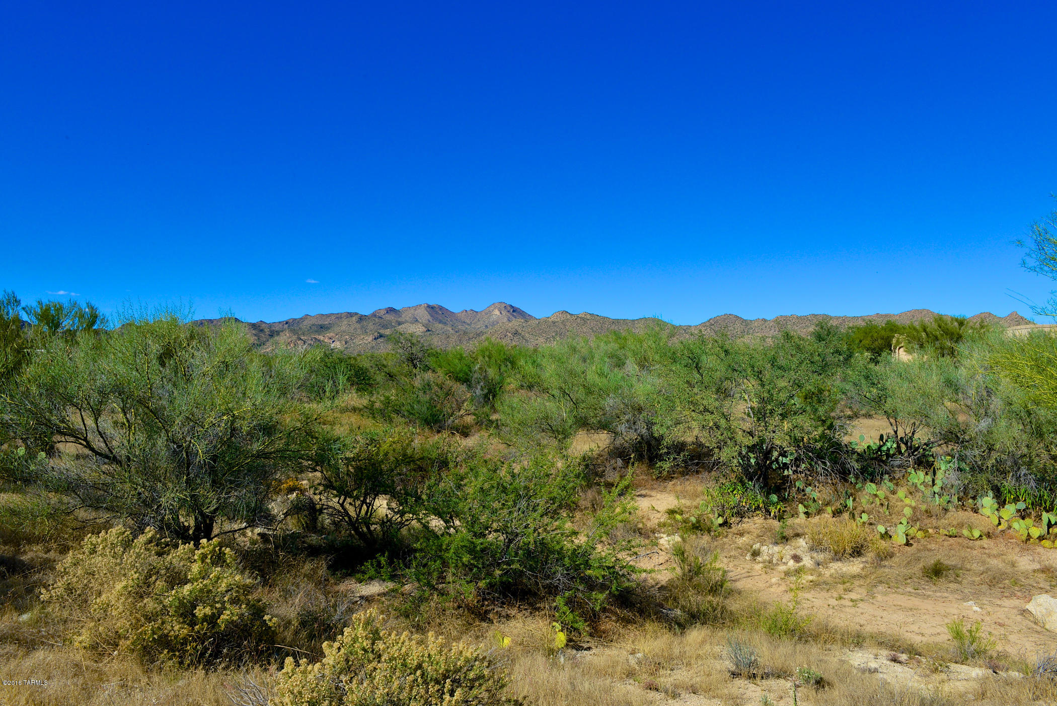 Stone Canyon I - Land