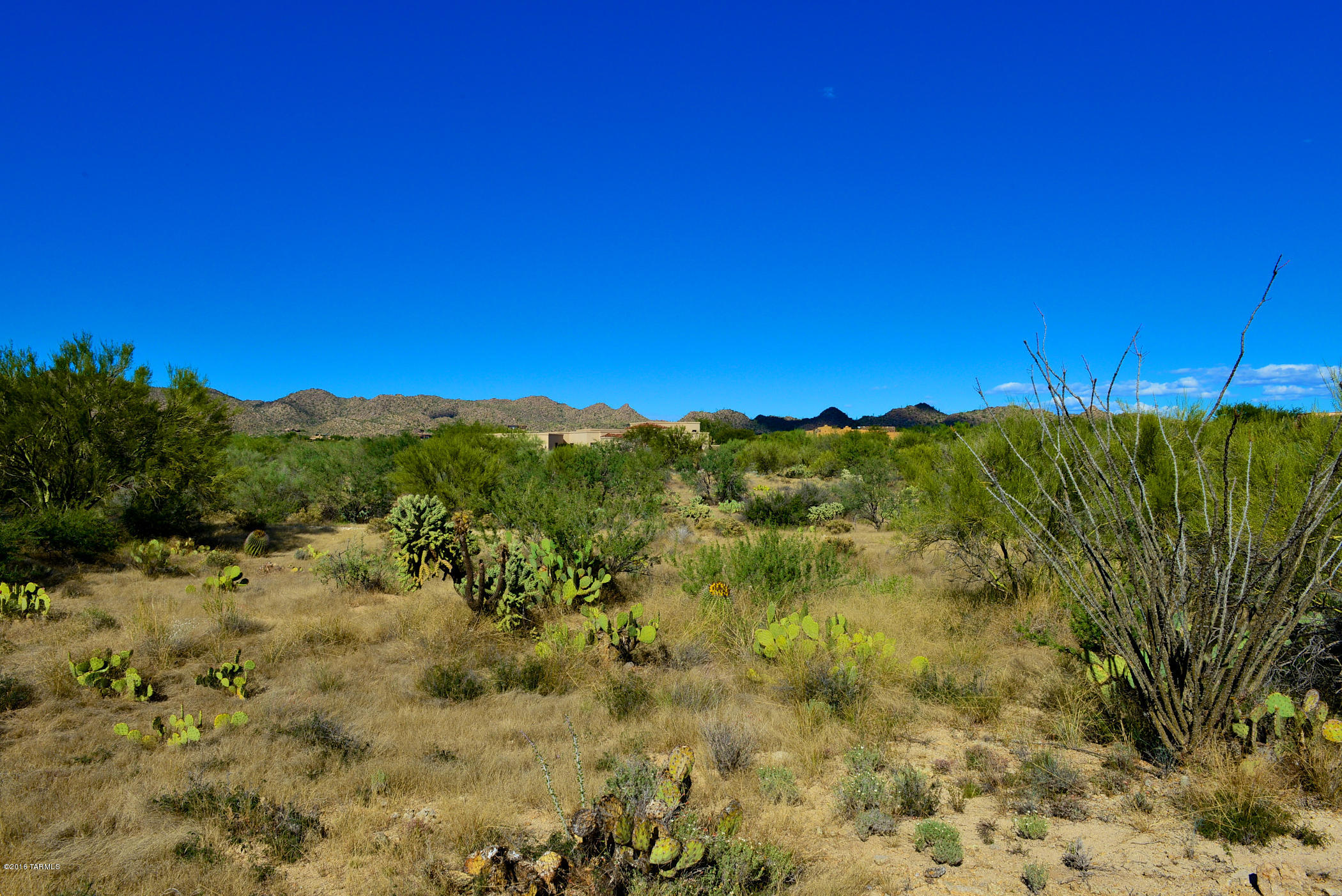 Stone Canyon I - Land