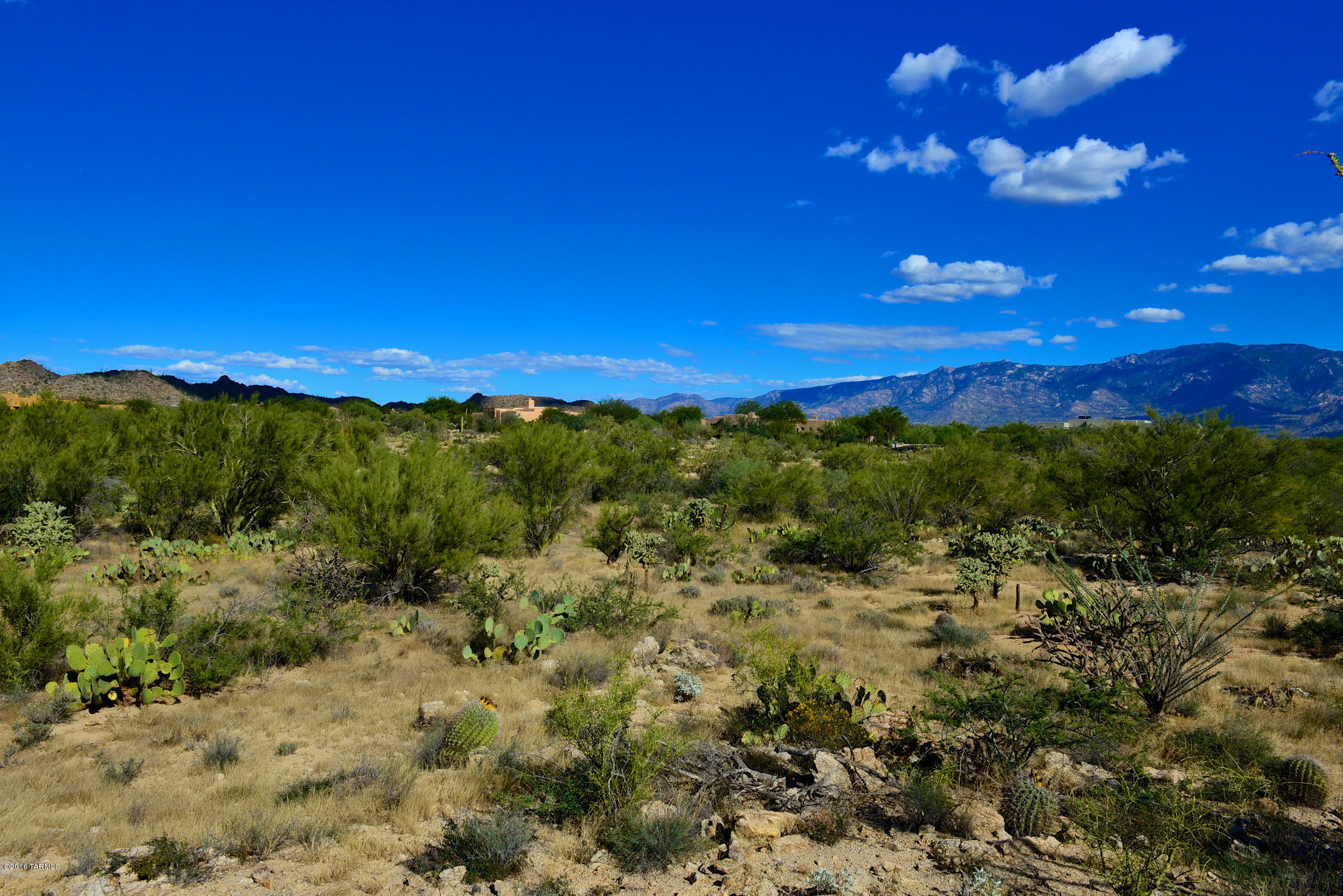 Stone Canyon I - Land