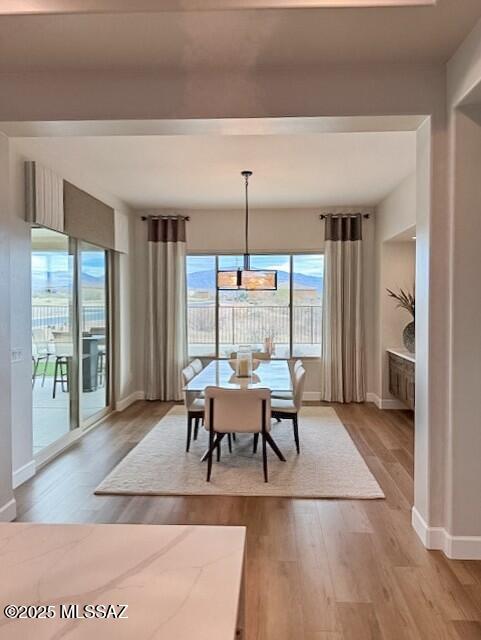 Saddlebrooke Ranch - Residential
