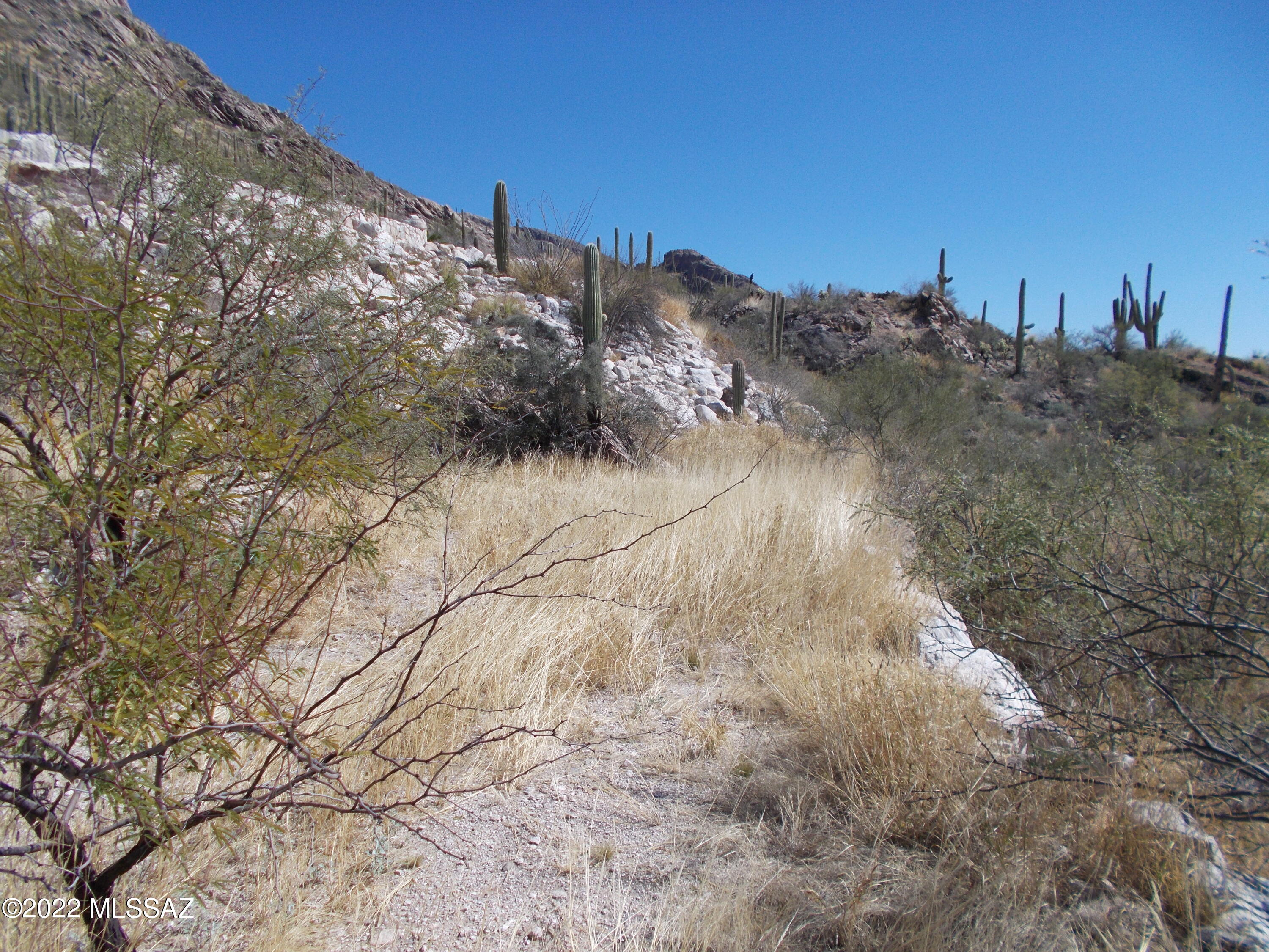 The Summit At Finger Rock (37 - 66) - Land