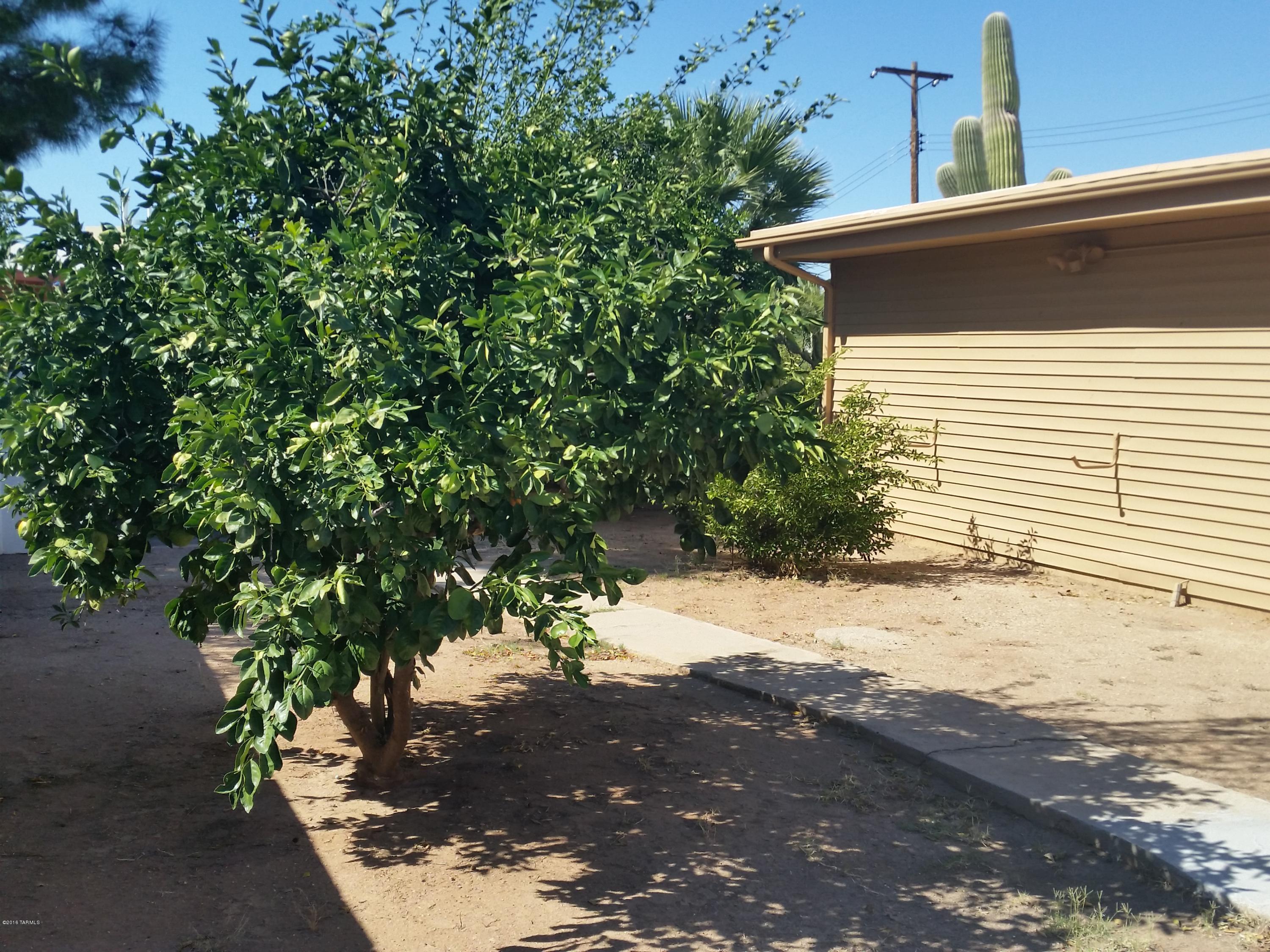 Wilmot Desert Estates - Residential Lease