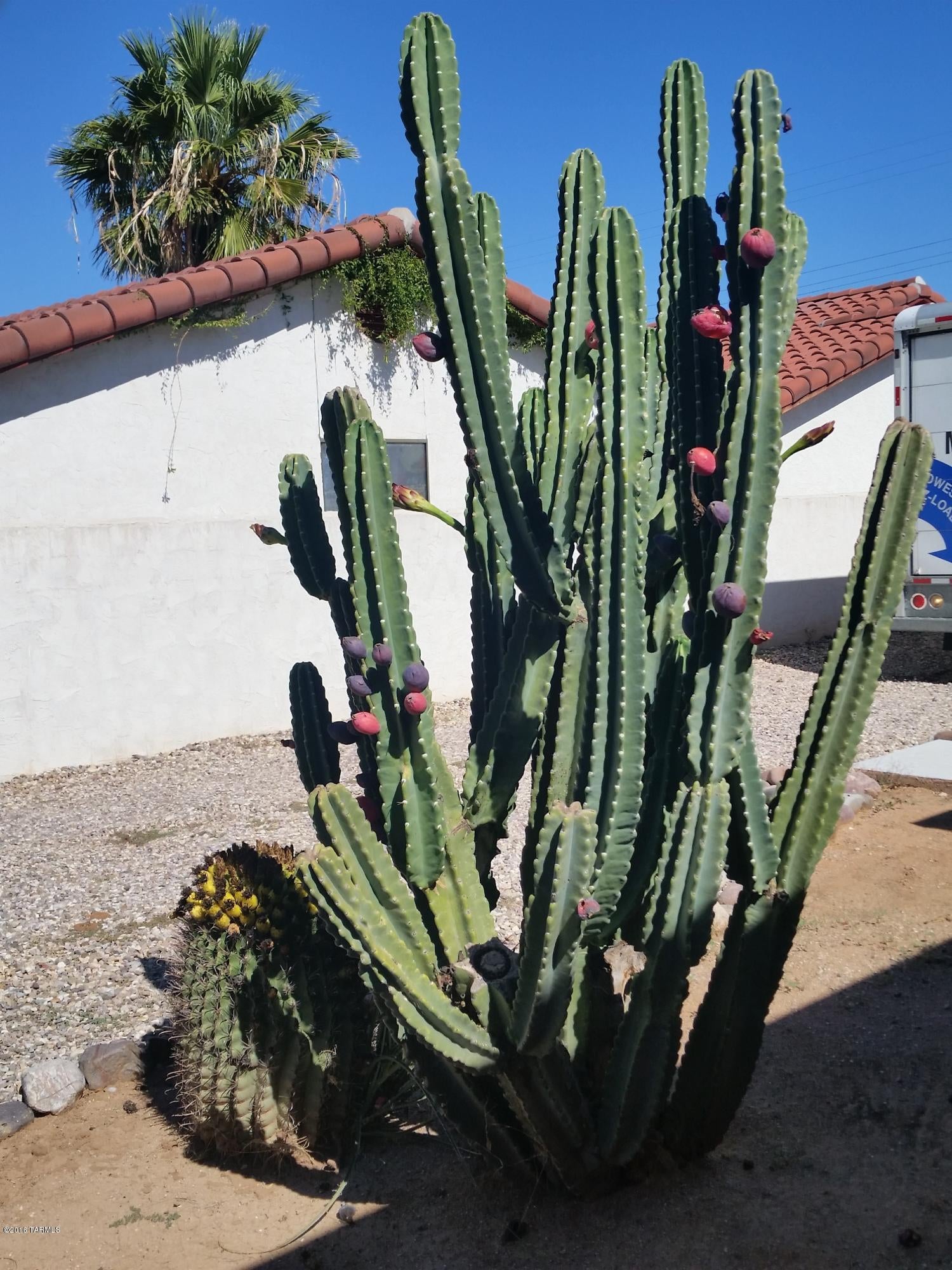 Wilmot Desert Estates - Residential Lease