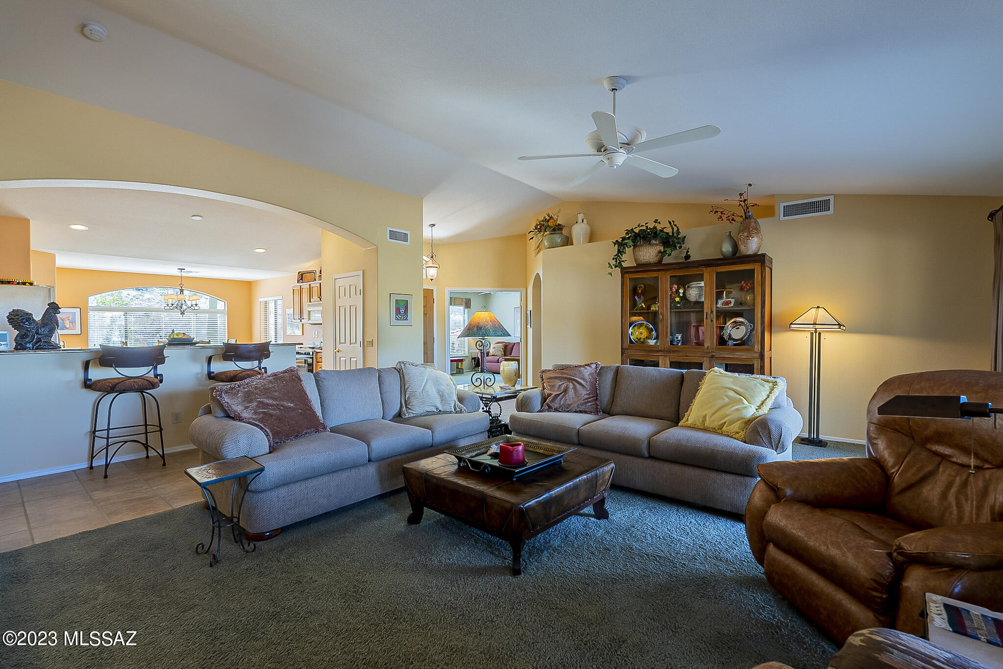 Saddlebrooke - Residential
