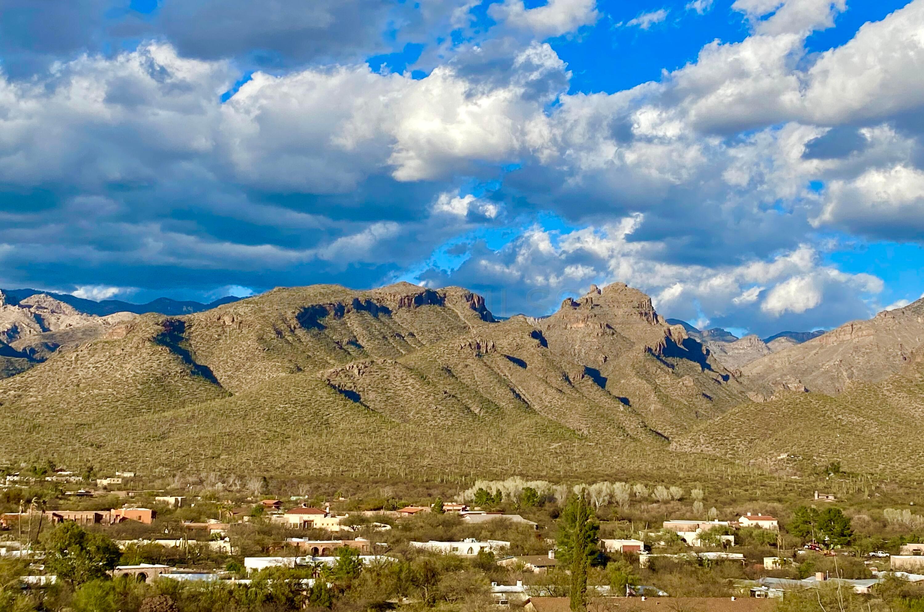 Best views in Tucson! New construction in the Catalina Foothills with stunning views throughout. Open concept great room and split bedroom layout. Be inspired to cook or entertain from the beautifully appointed kitchen with gas cooktop, huge island finished in leathered granite, matte finished quartz perimeter tops, 42'' tall upper cabinets and designer lighting. Luxurious owners suite with access to patio, large walk-in closet with built-ins. Bath finished in soothing tiles and quartz tops with large walk-in shower. Step outside on the covered patio finished in pavers to enjoy Tucson's cooler evenings.  Room for a pool. Expansive 3 car garage w/ epoxy floor, power for your electric car and room for all your toys. Inside/out 8' doors, custom metal vanity, custom hardware and so much more.