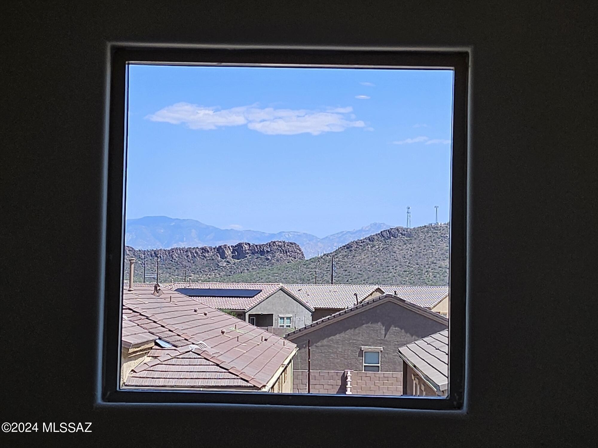 Saguaro Bloom SQ20180540069 - Residential