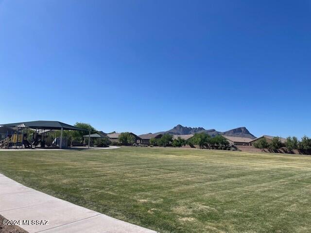 Saguaro Bloom SQ20180540069 - Residential