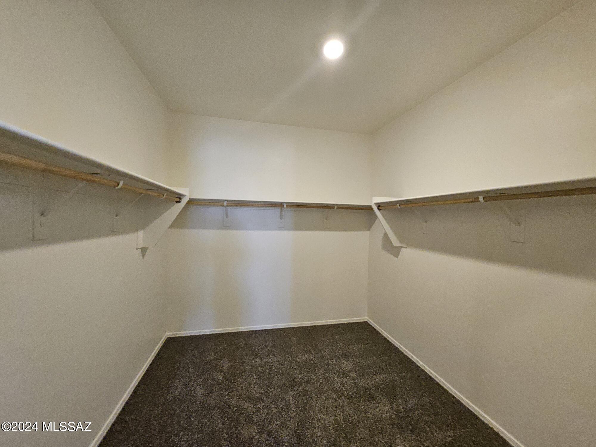 Saguaro Bloom SQ20180540069 - Residential