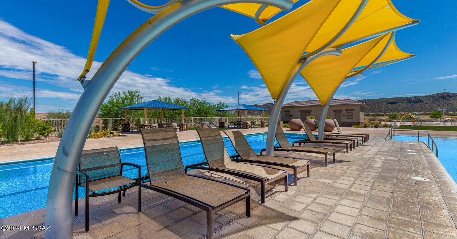 Saguaro Bloom SQ20180540069 - Residential