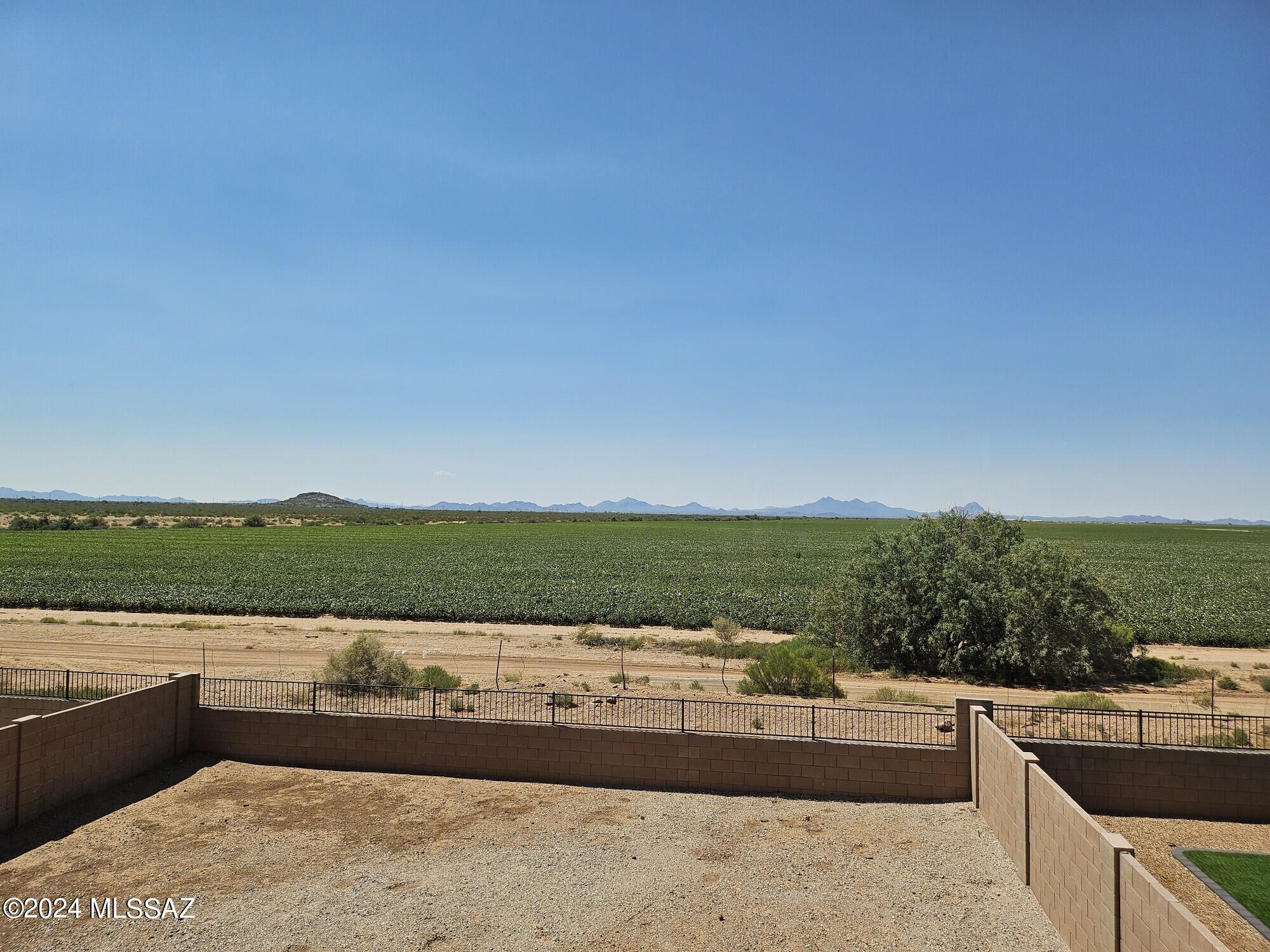 Saguaro Bloom SQ20180540069 - Residential