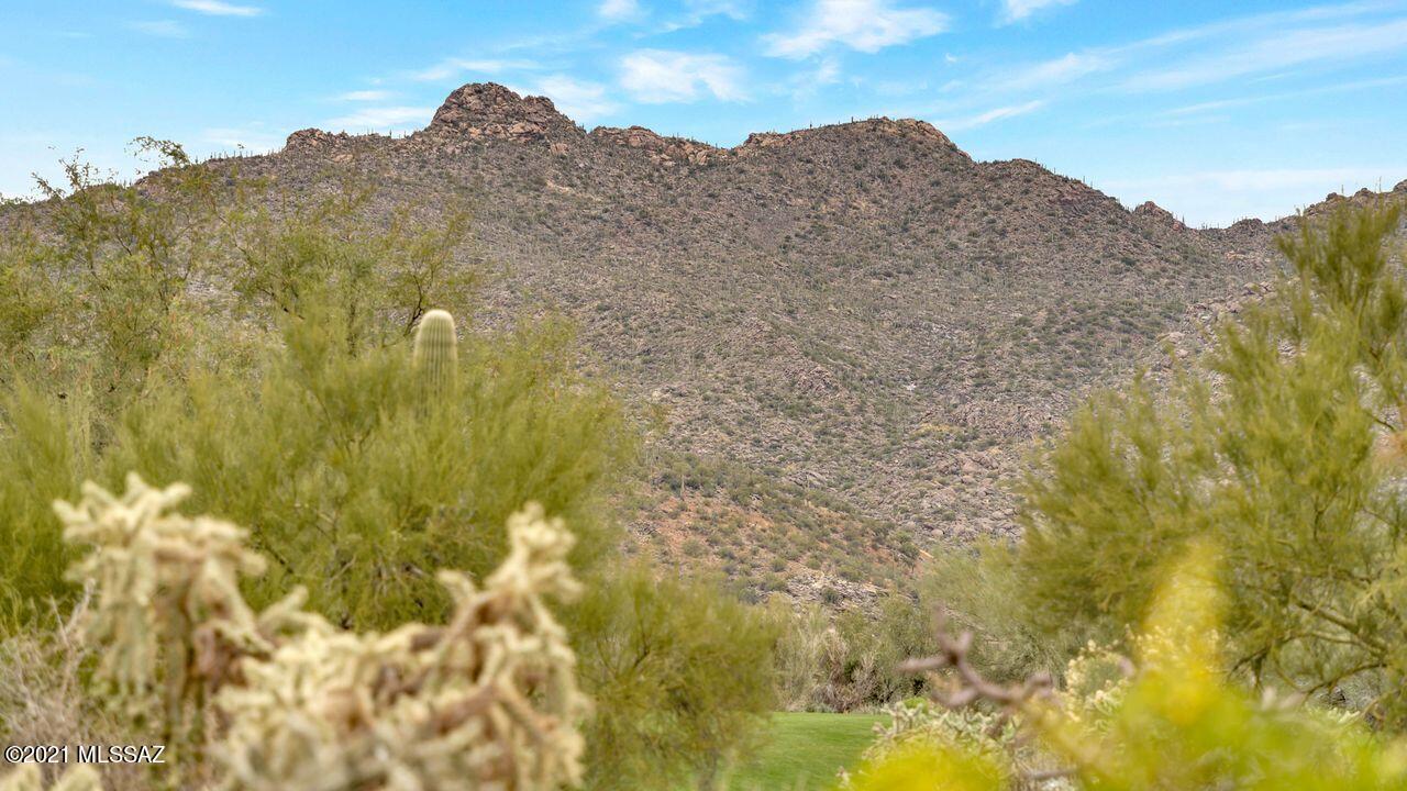 Dos Lagos at Dove Mountain (1-91) - Residential