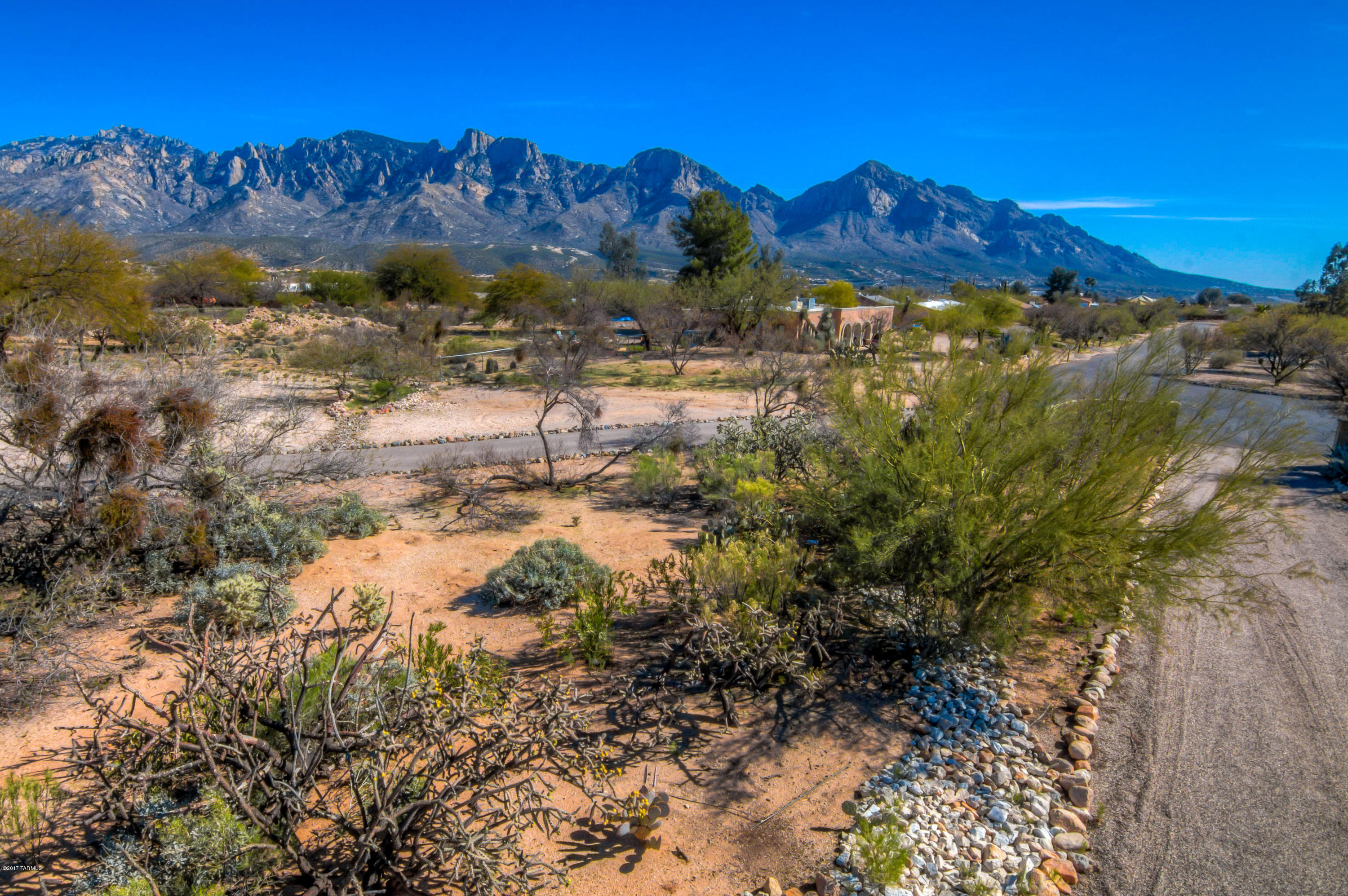 Tangerine Hills - Residential