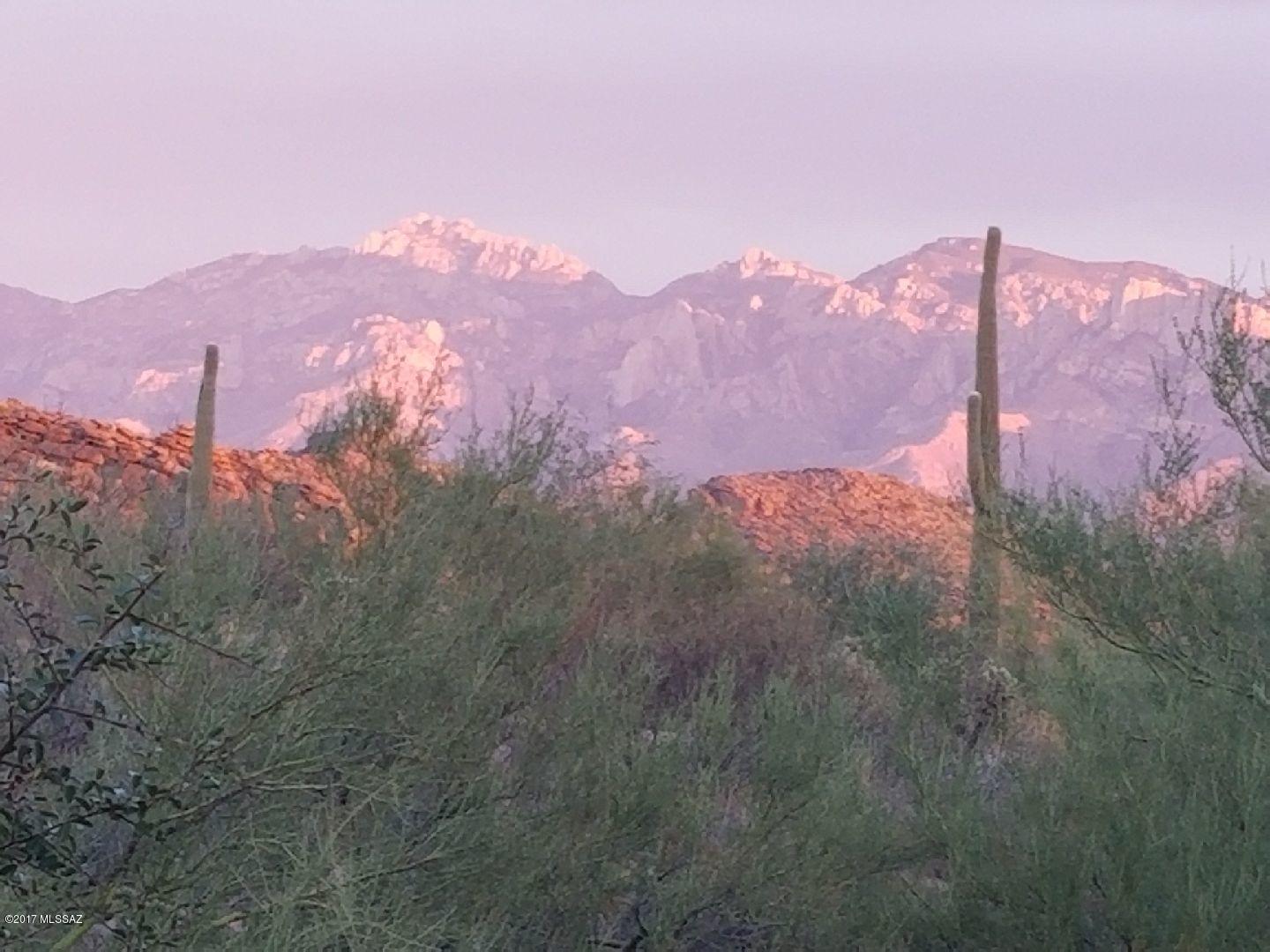 Heritage Highlands III at Dove Mountain (542-719) - Residential
