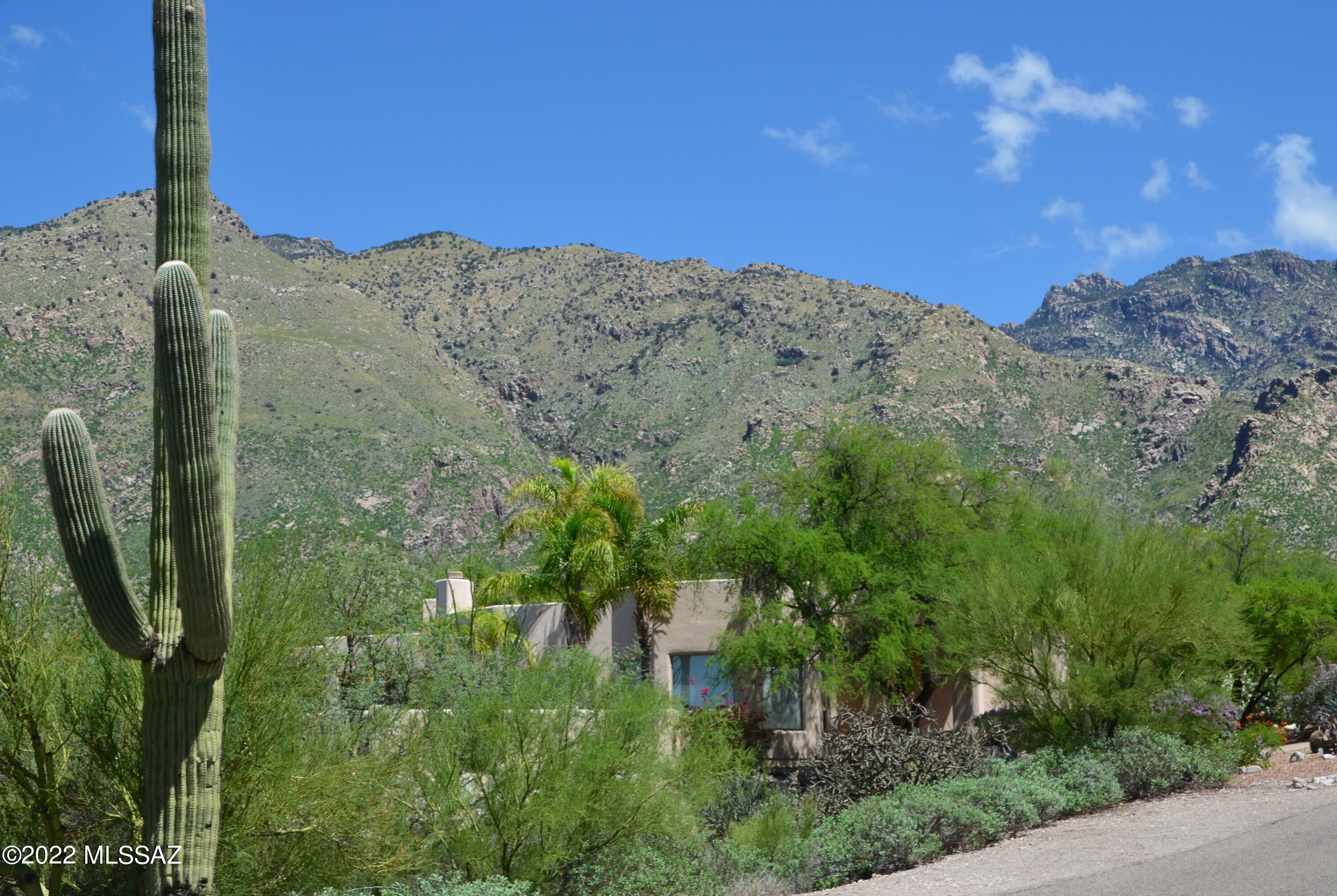 Alta Vista Estates (1-124) - Residential
