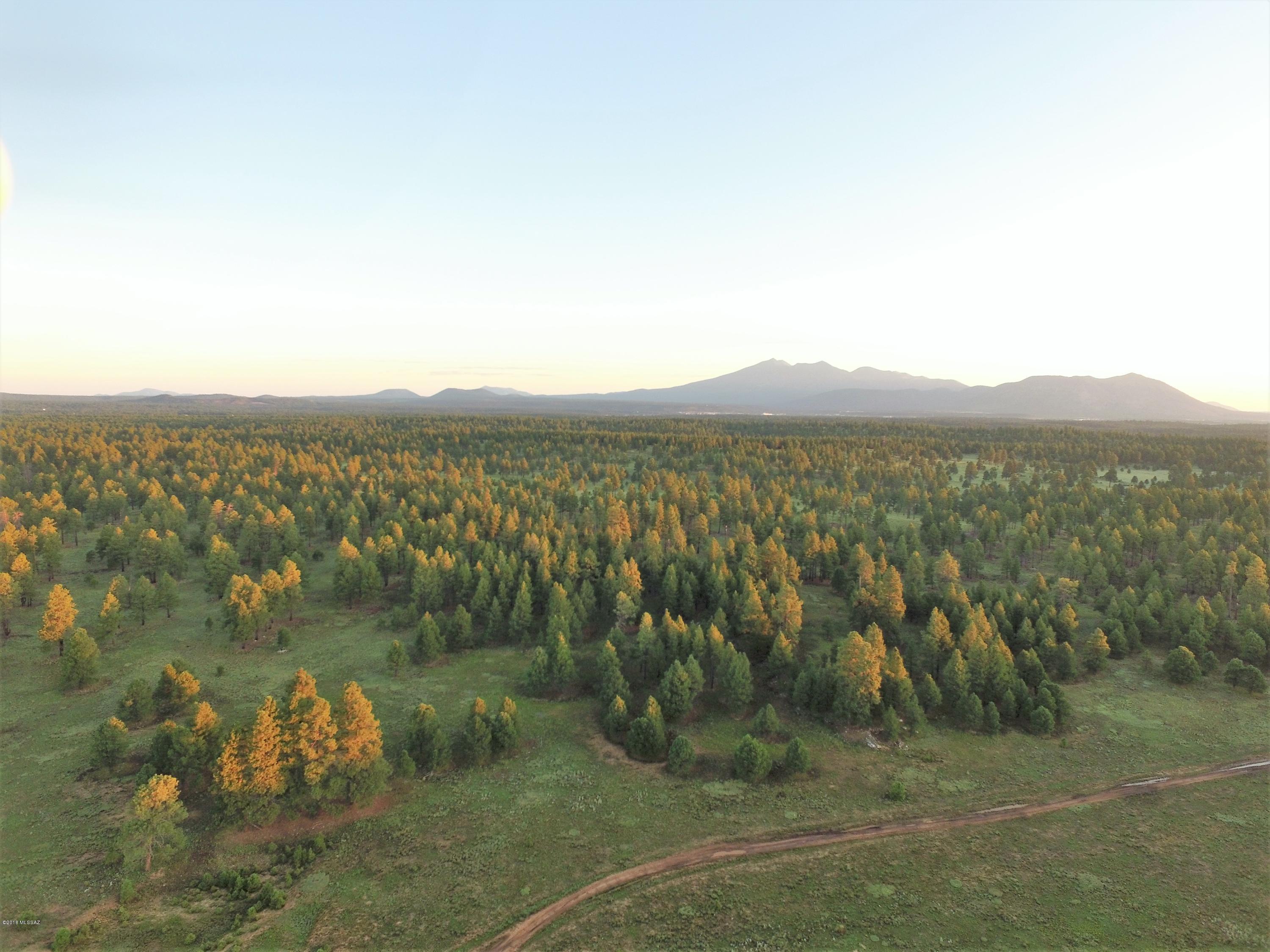 Absolutely beautiful 160 acres completely surrounded by the Coconino National Forest at a cool 7,000 feet elevation. It is within 2 miles of the Flagstaff city limits. This property has tall Ponderosa Pines, a large meadow and a very good well. Perfect for numerous uses including a corporate retreat, church camp, upscale gated community or a private family compound. Easy access and an easy build on all usable land, only minutes to Flagstaff and all of its great shops, restaurants, golf courses, Snowbowl Ski Resort and NAU. One of the sellers is a Licensed Real Estate Agent in the State of Arizona. EXCELLENT SELLER FINANCING AVAILABLE! CALL.