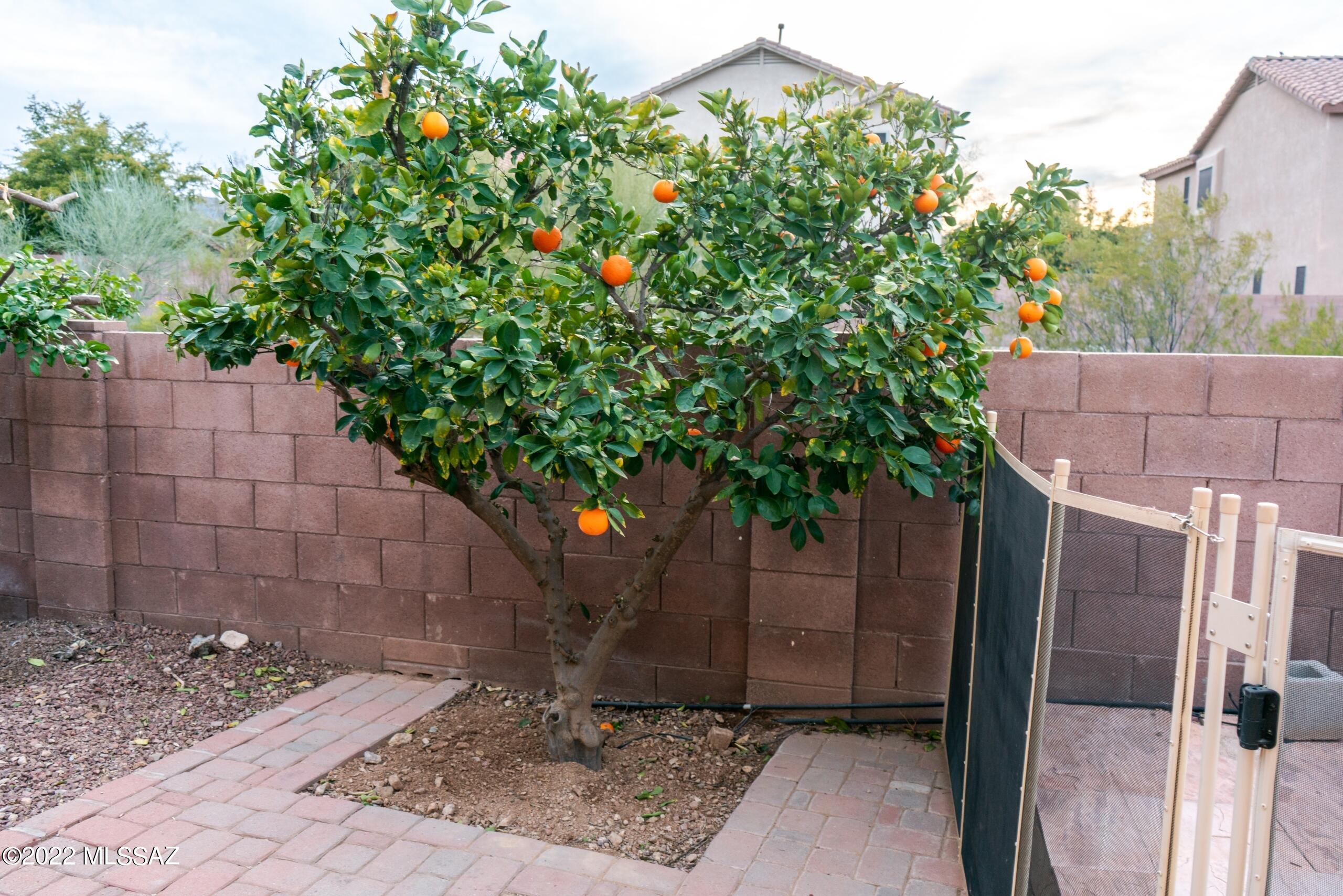 Rancho Agua Dulce (387- 781) - Residential