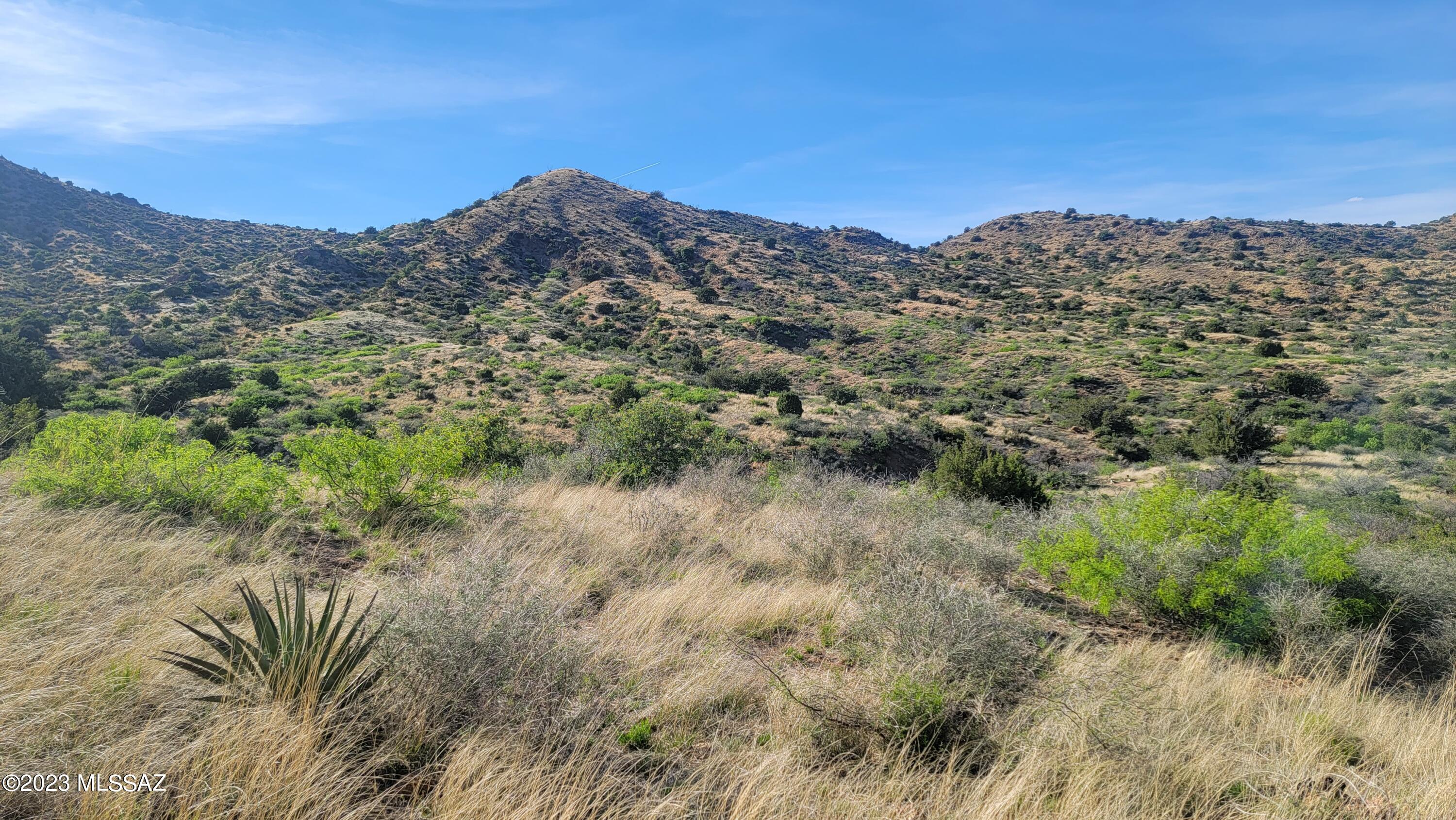 Incredible opportunity to purchase this large 1138.2 acre parcel of pristine Chiricahua mountain range property. The fenced parcel encompasses the Little Emigrant Canyon named for the pioneers travelling west, seeking an alternative route to the dangerous Apache Pass. The entire eastern fence borders BLM land. The natural spring near the southeast part of the parcel and seasonal creek bring life to this diverse Sky Island ecosystem. With elevations of 4200 – 5600 ft you see huge oak, cottonwood, cypress, sycamore, cactus, succulents, mesquite, grassland,  and a wide array of birds and mammals.  The creek on east of road into property, runs with summer and winter rains and waterfalls flow from hills during the Monsoon season. Many beautiful building sites are found on hill tops with sweeping views of the San Simon valley and Piloncillo Mountains.  Excellent air quality, mild, year-round temperatures and clear night skies make for incredible star gazing. This area is rich in history, and famous for area attractions. Fort Bowie National Historic Site, Indian Bread Rocks, Bowie Hot Spring Dunes, Chiricahua National Monument are all a close by. The area is well known for its western history and, its award-winning wine industry. The nearby town of Bowie is an agricultural area famous for pistachios and pecans along with cattle ranching.  This property is only 14 miles from the 1-10 yet totally private, secluded and protected. It is rare to find such a large parcel offered for sale in the Chiricahua mountain range.