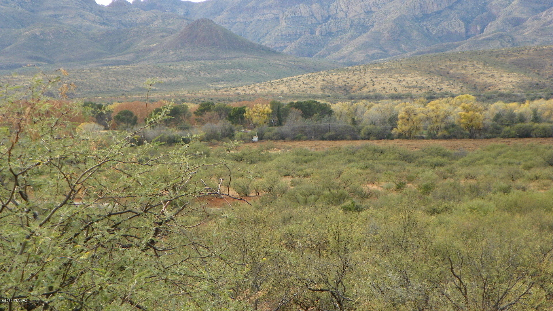Rio Rico Estates 16 - Land
