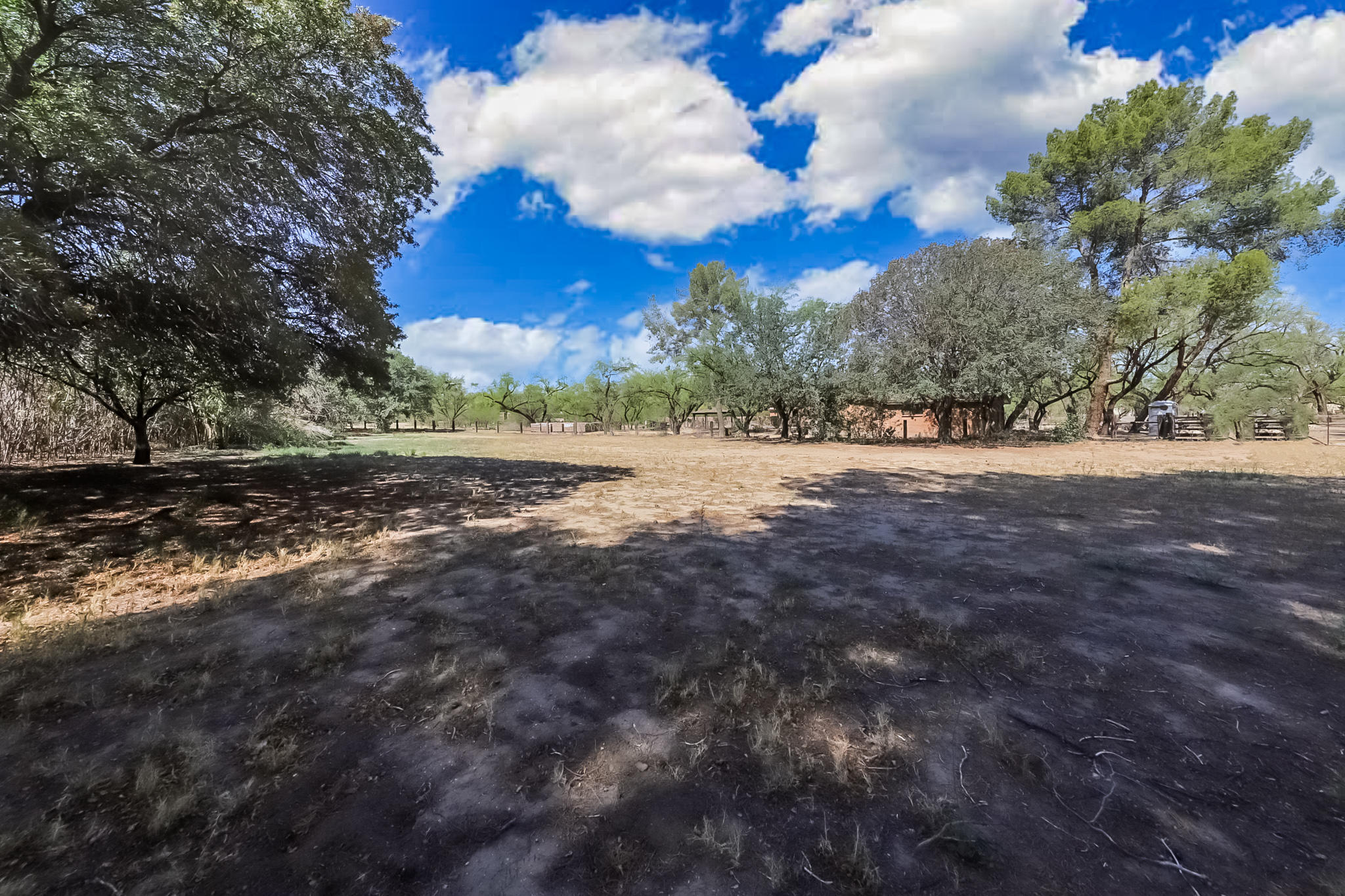 Bosque Perdido  (1-8) - Residential