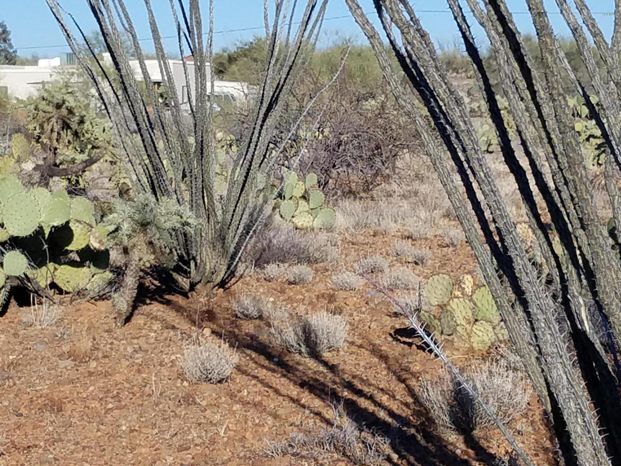 New Tucson Unit NO. 6 (1-75) - Land