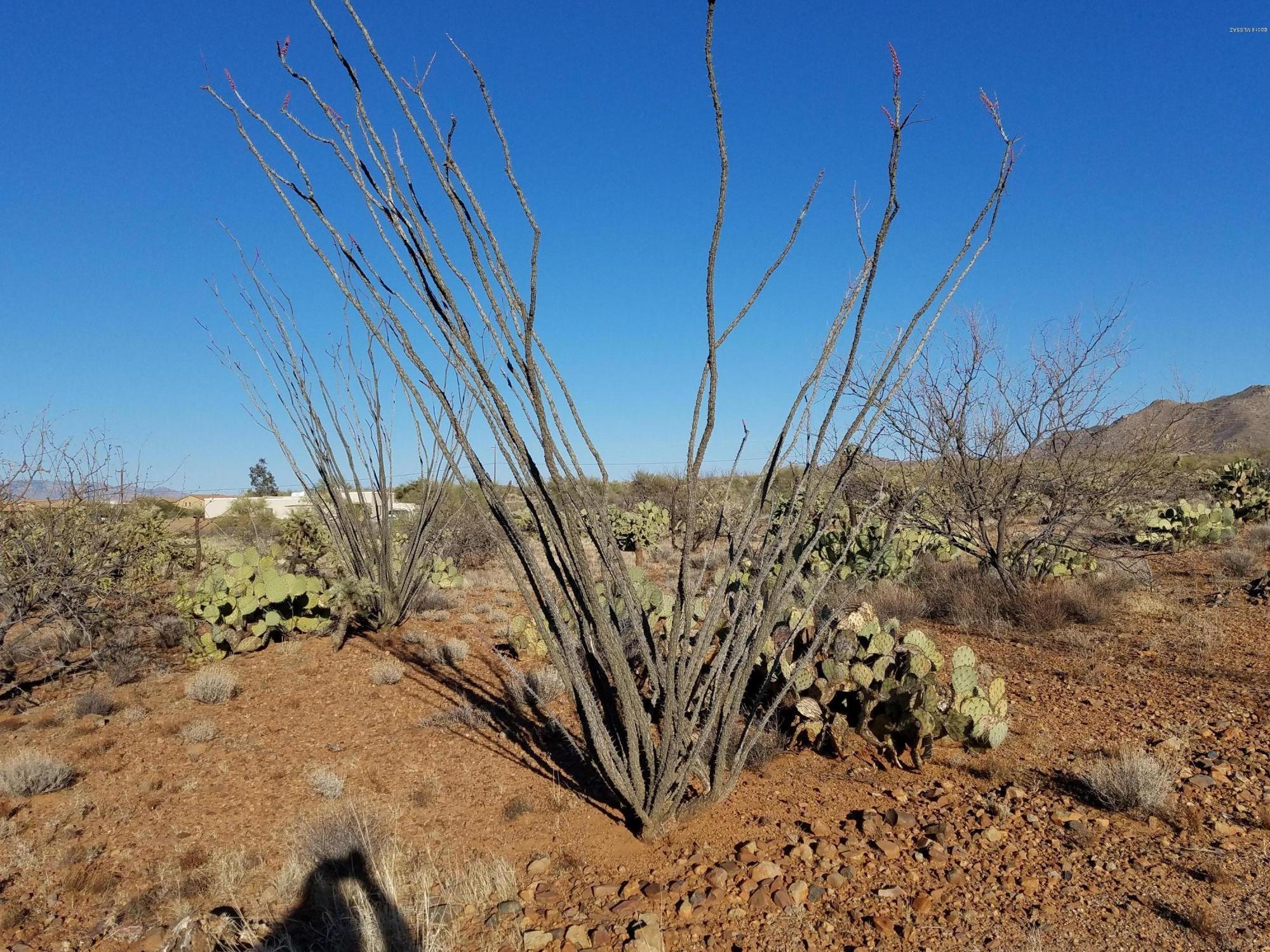 New Tucson Unit NO. 6 (1-75) - Land