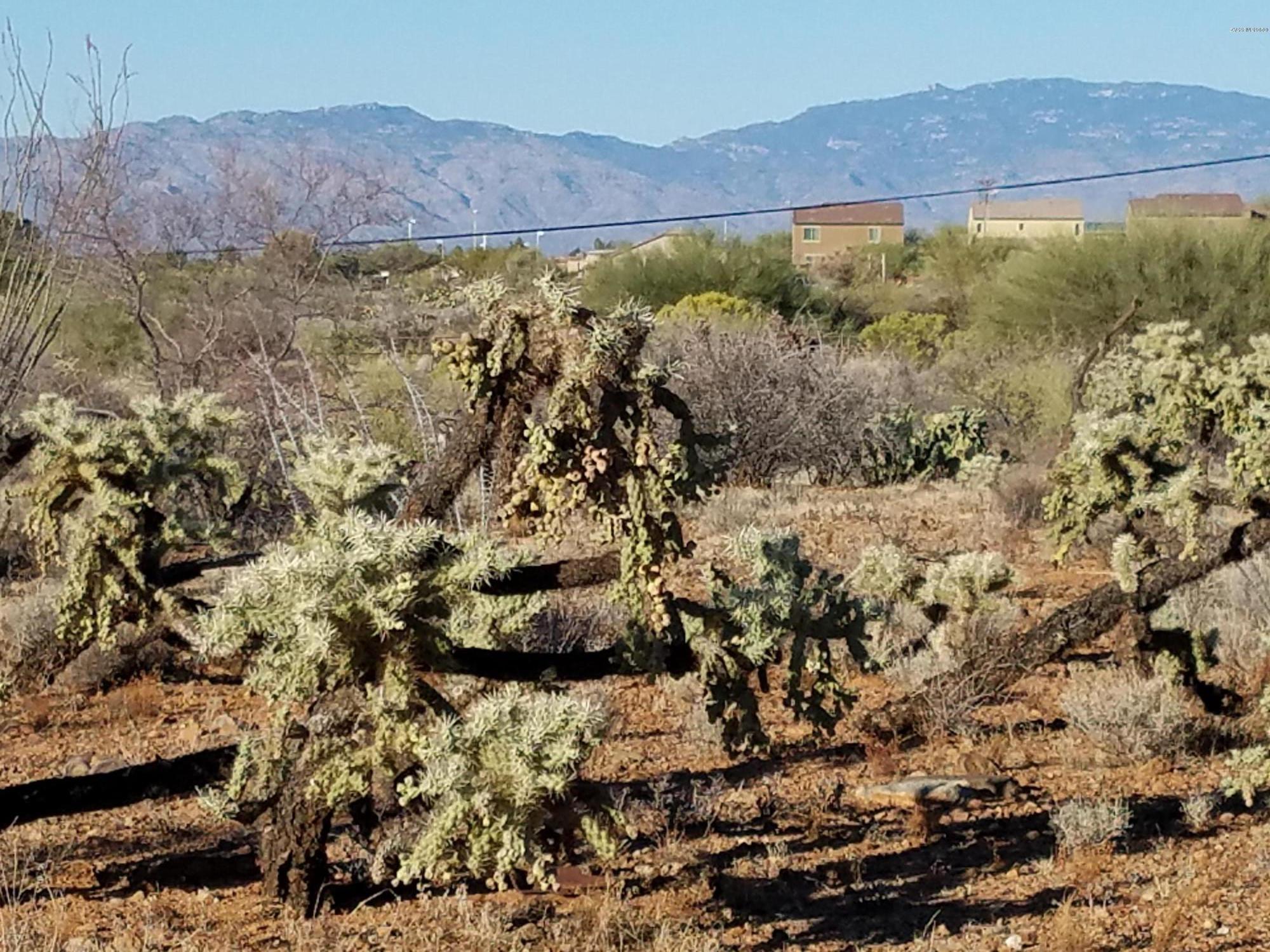 New Tucson Unit NO. 6 (1-75) - Land