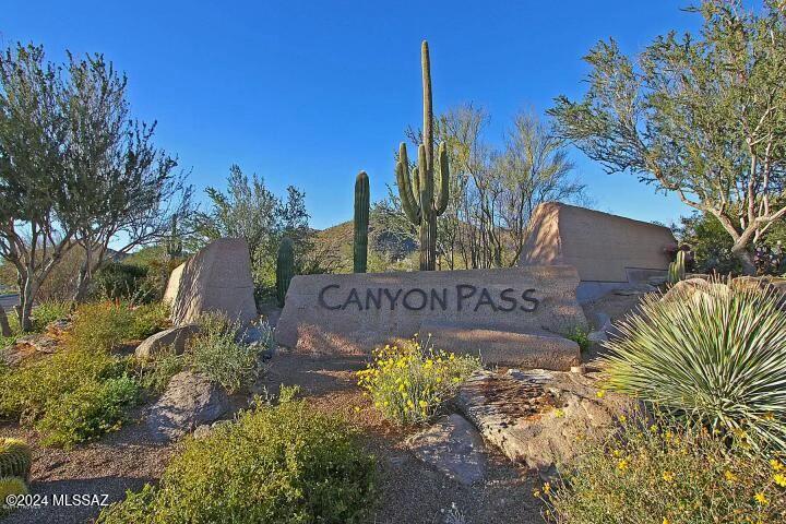 Canyon Pass At Dove Mountain - Residential