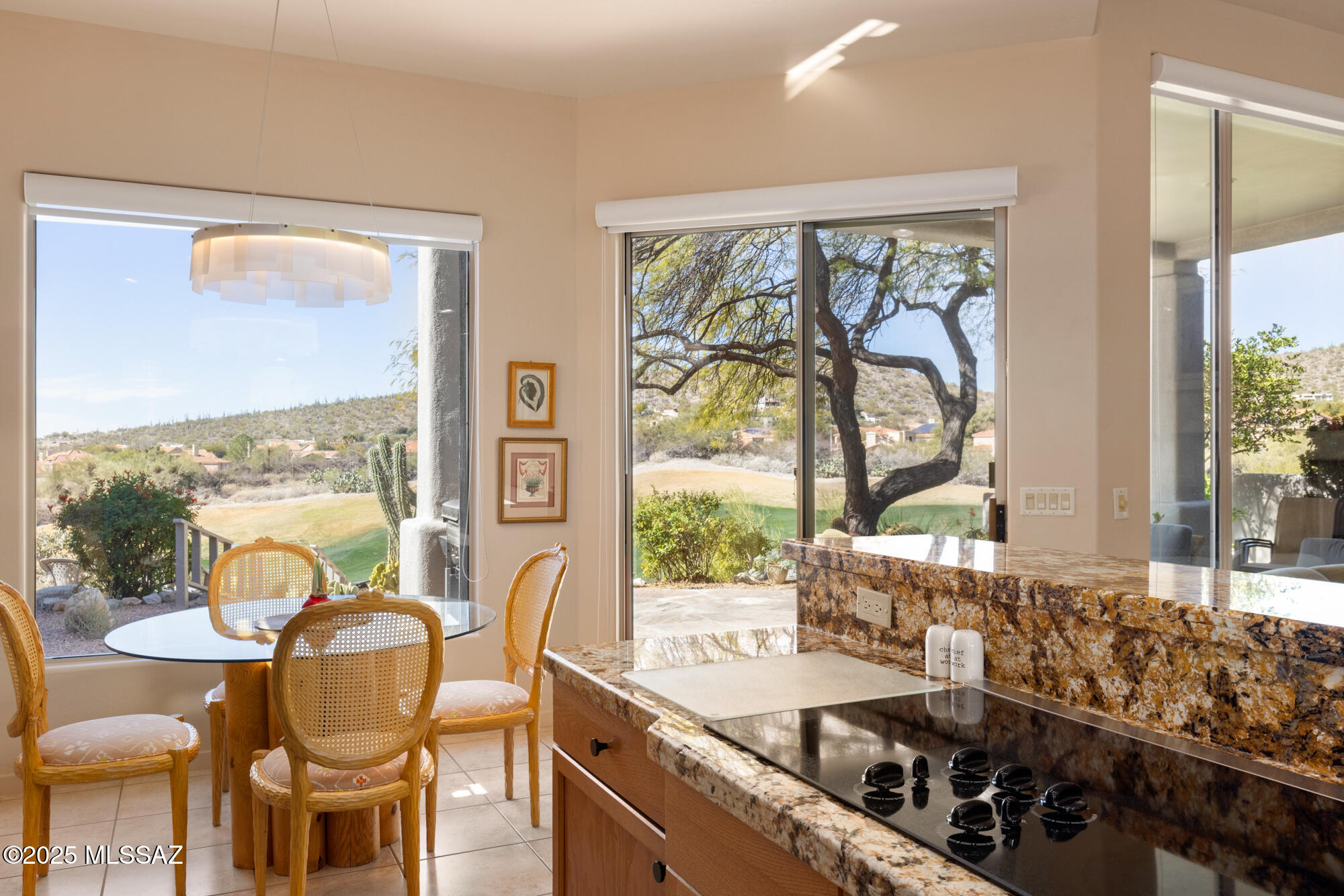 The Ridge At Ventana Canyon (1-63) - Residential
