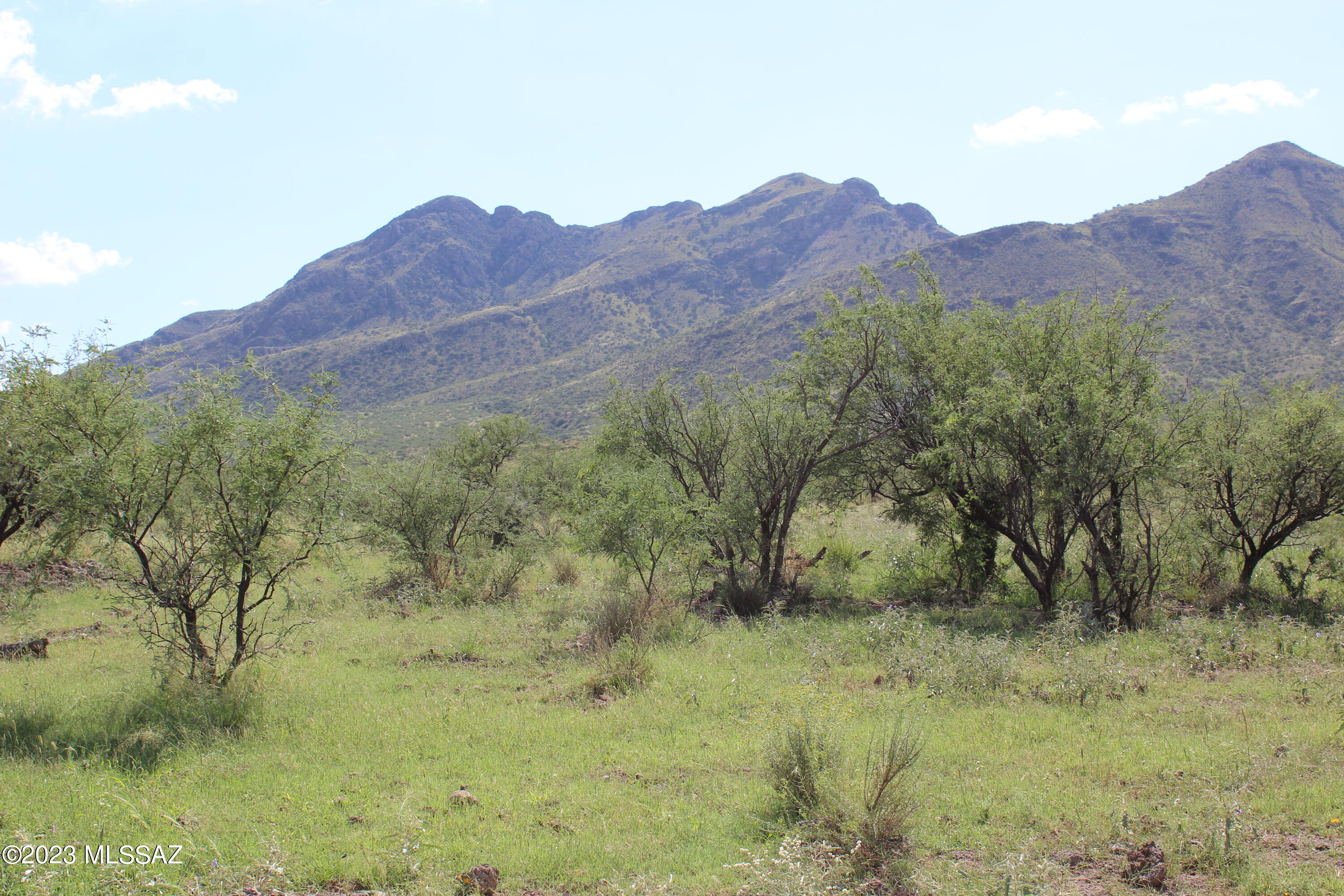 Morning Star Ranch - Land