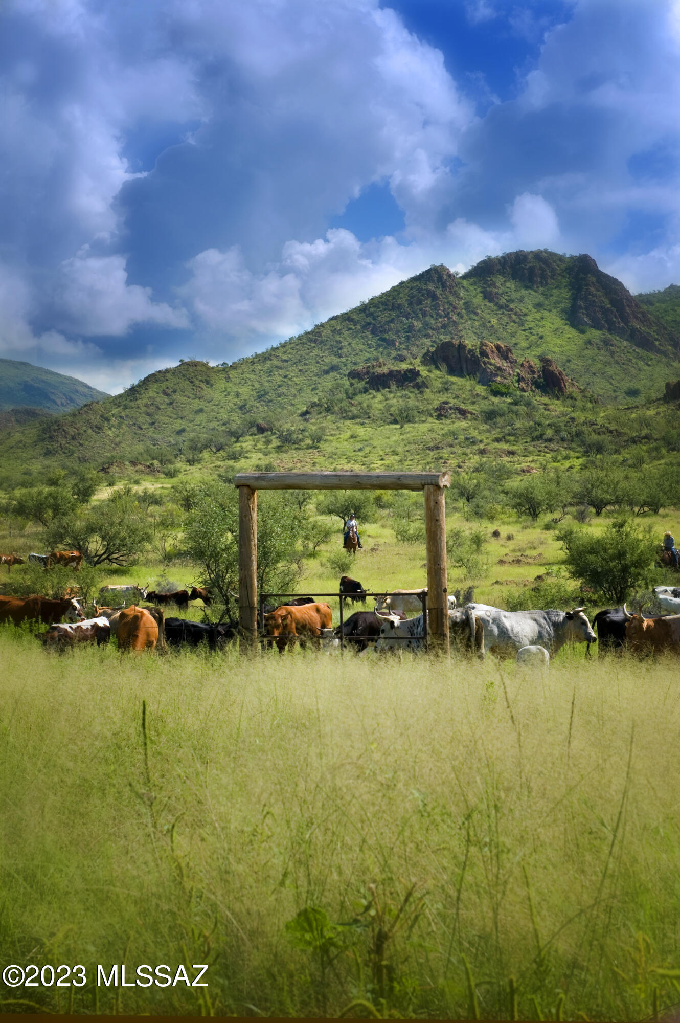 Morning Star Ranch - Land