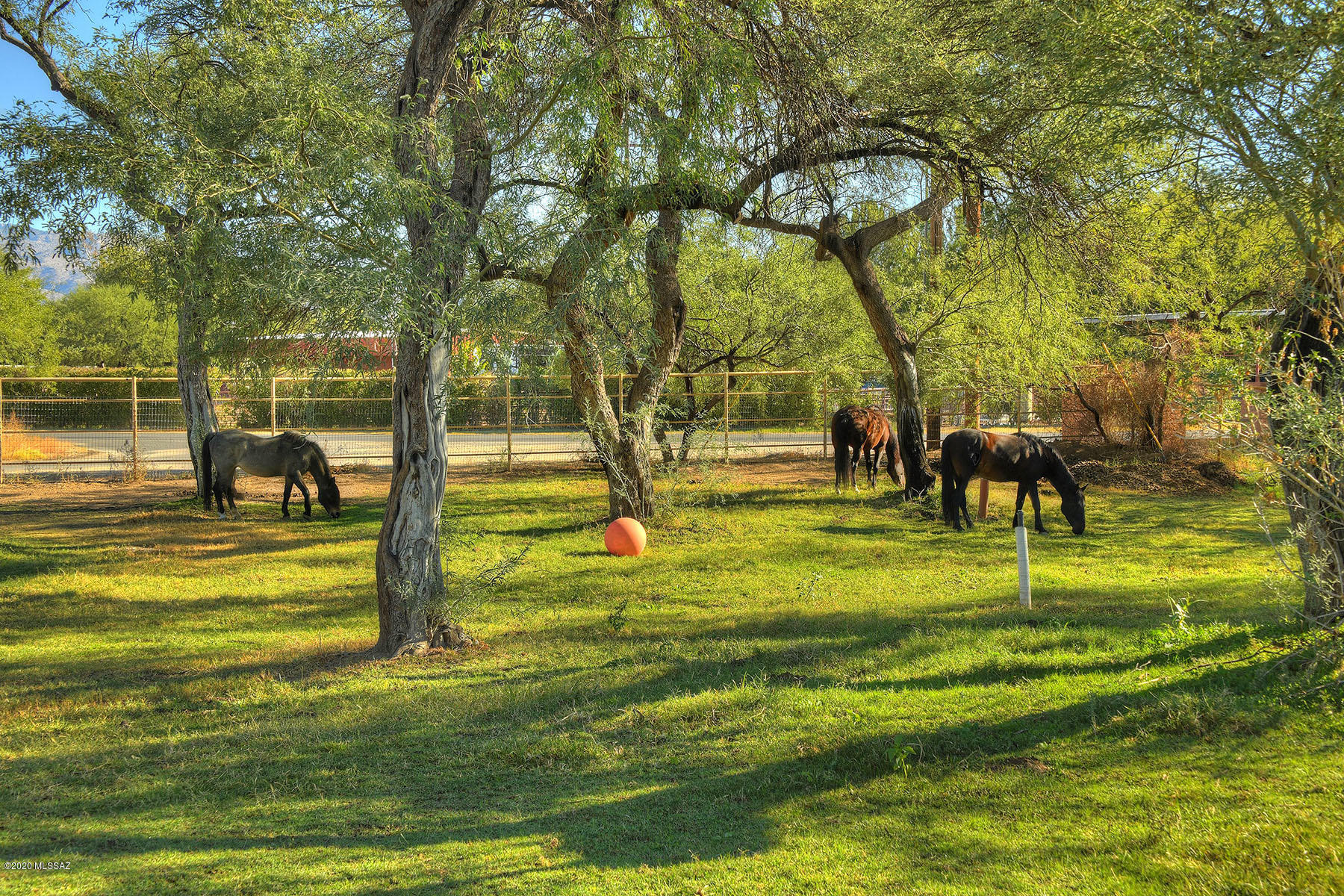 Tanque Verde Country Estates - Residential