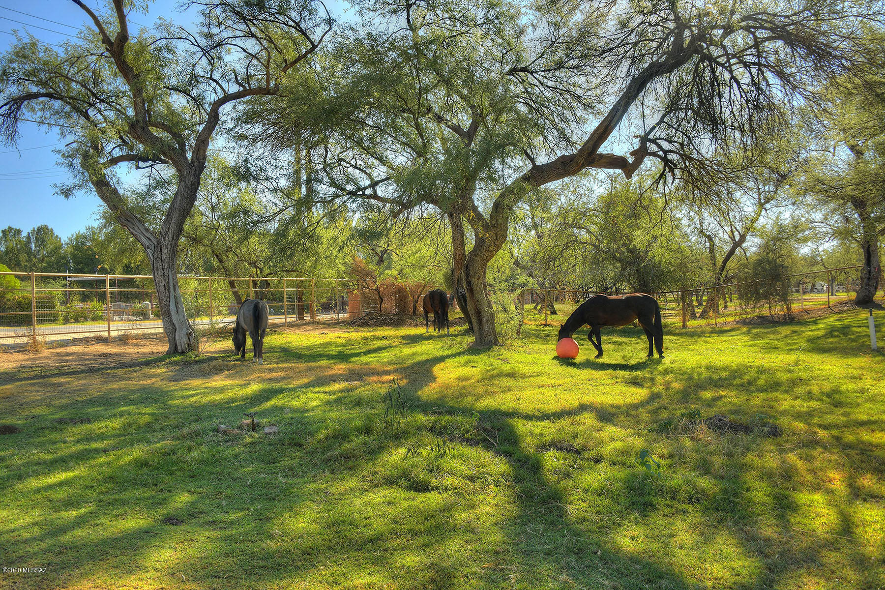 Tanque Verde Country Estates - Residential