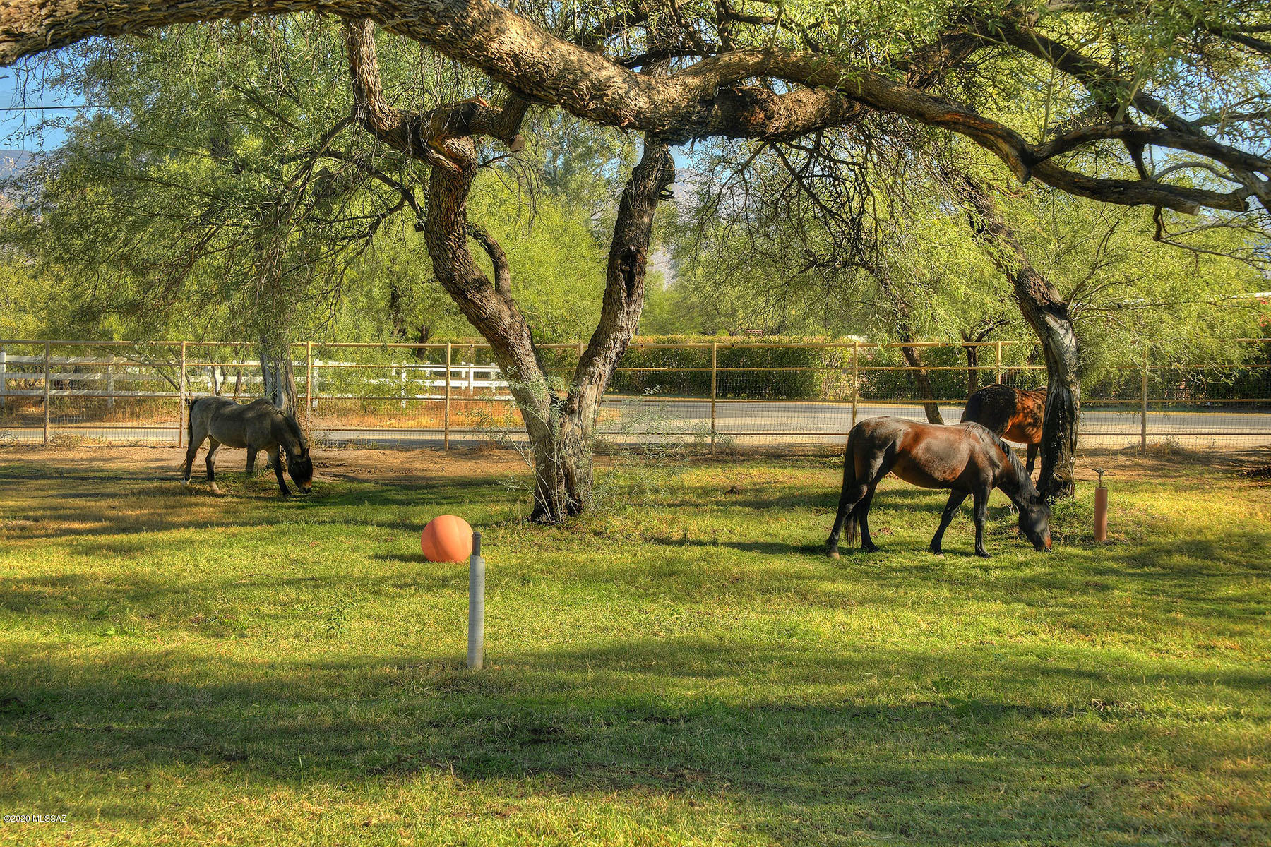 Tanque Verde Country Estates - Residential